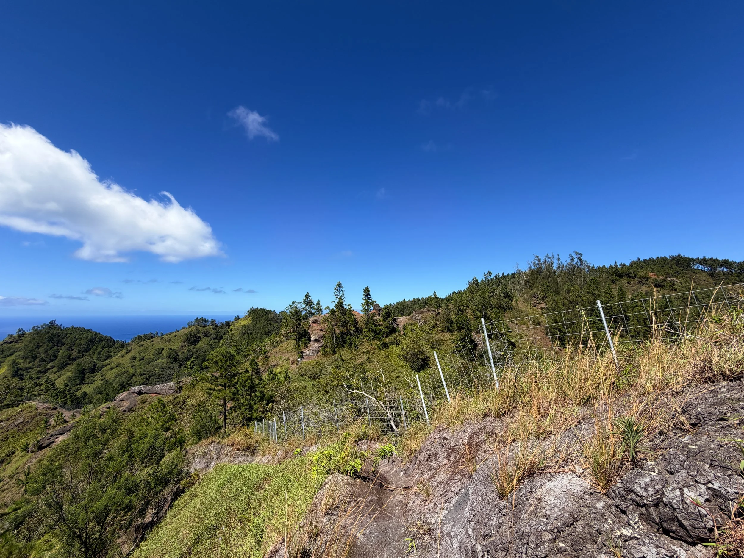 Kuaokala Hike Oahu Hawaii