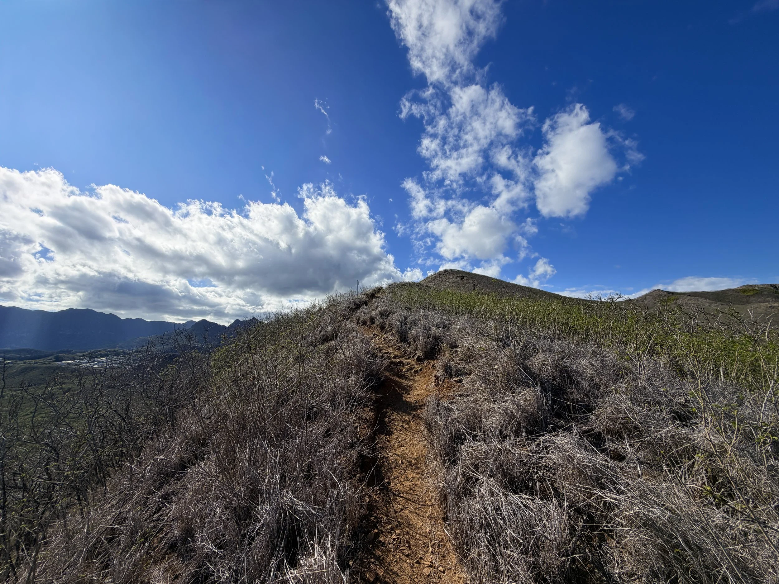 Back Way Kaiwa Ridge Trail Oahu Hawaii