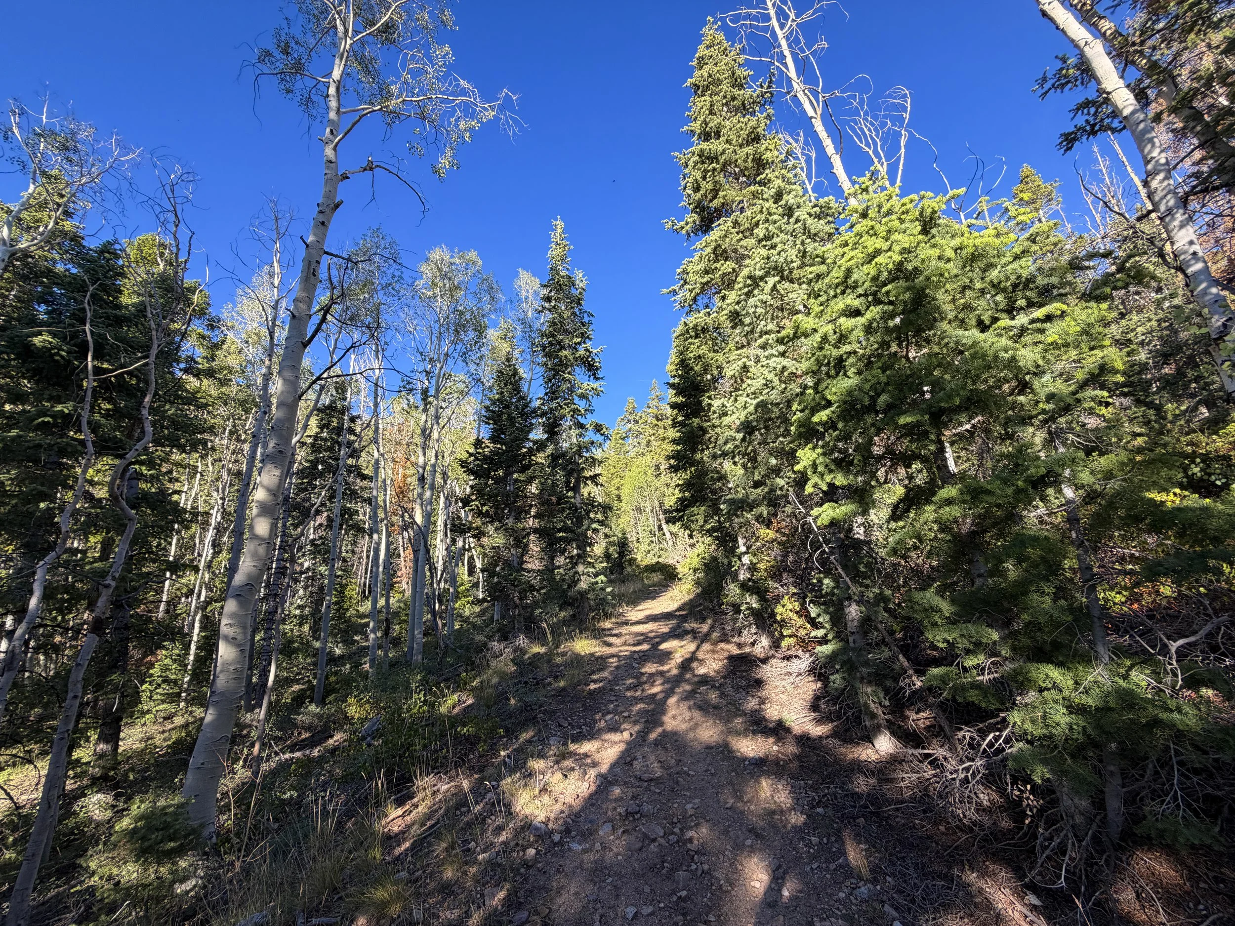 Snake Creek Overlook Hike Great Basin National Park Nevada