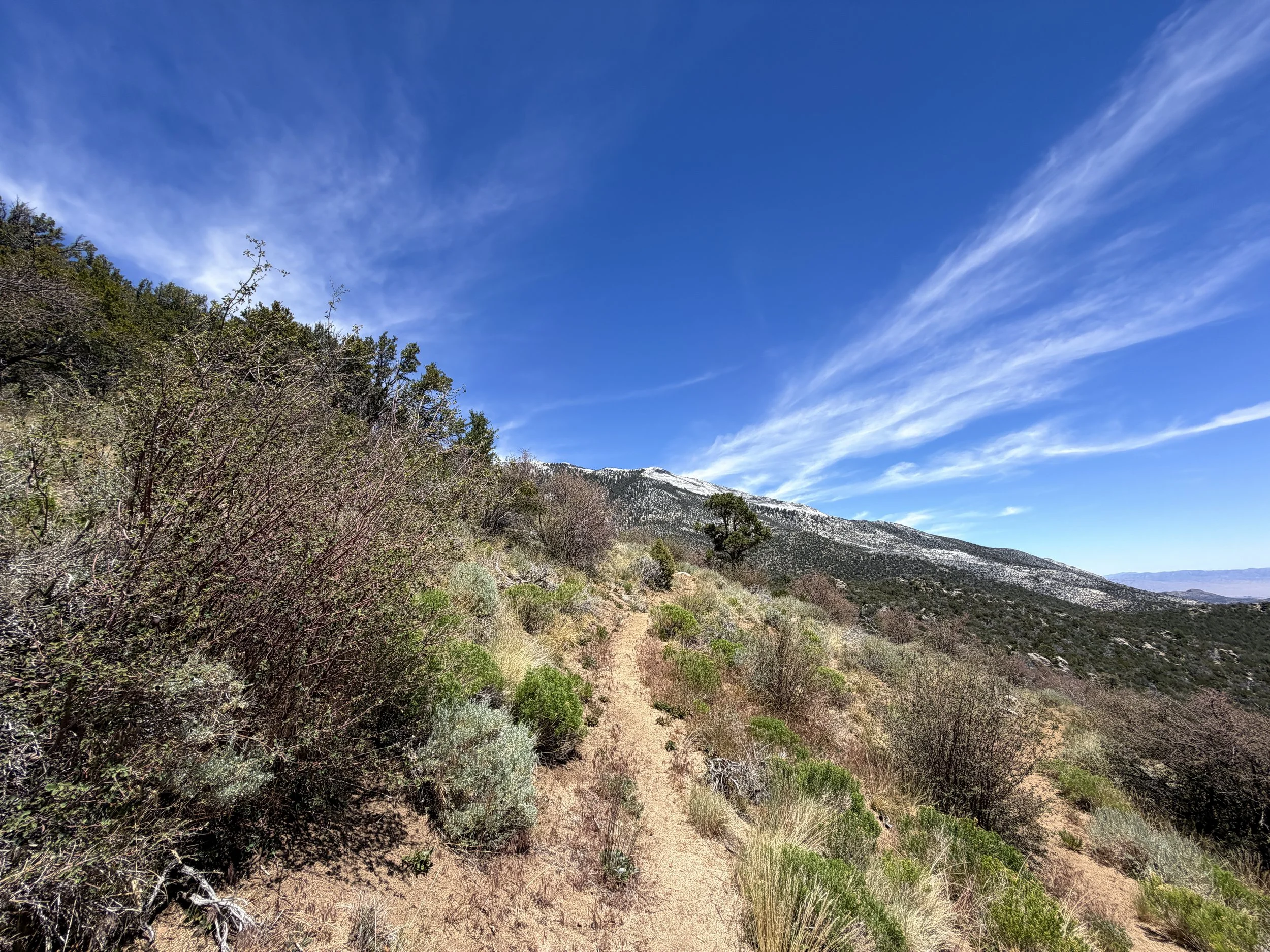 Serviceberry Hike Great Basin National Park Nevada