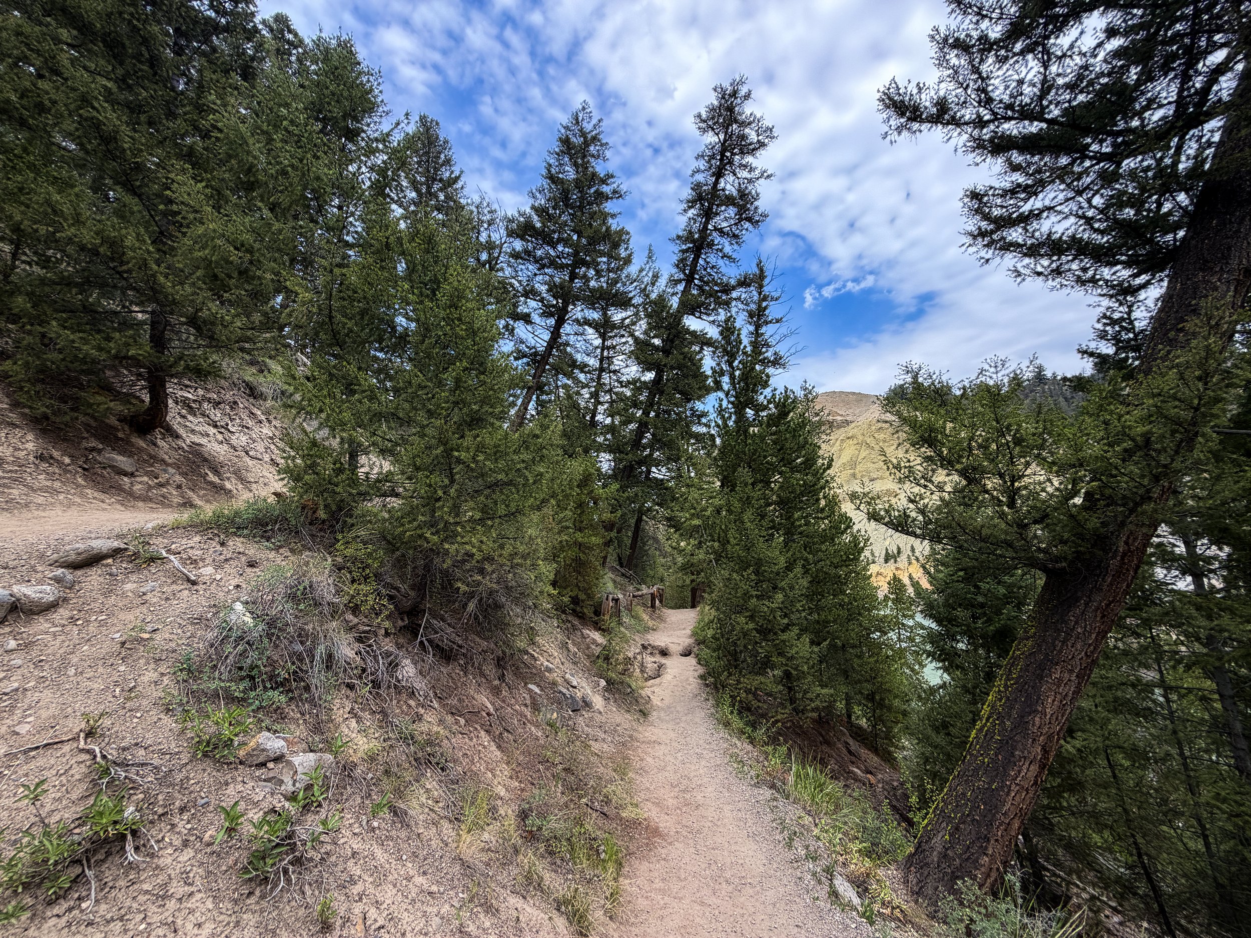 Tower Falls Hike Yellowstone National Park Wyoming