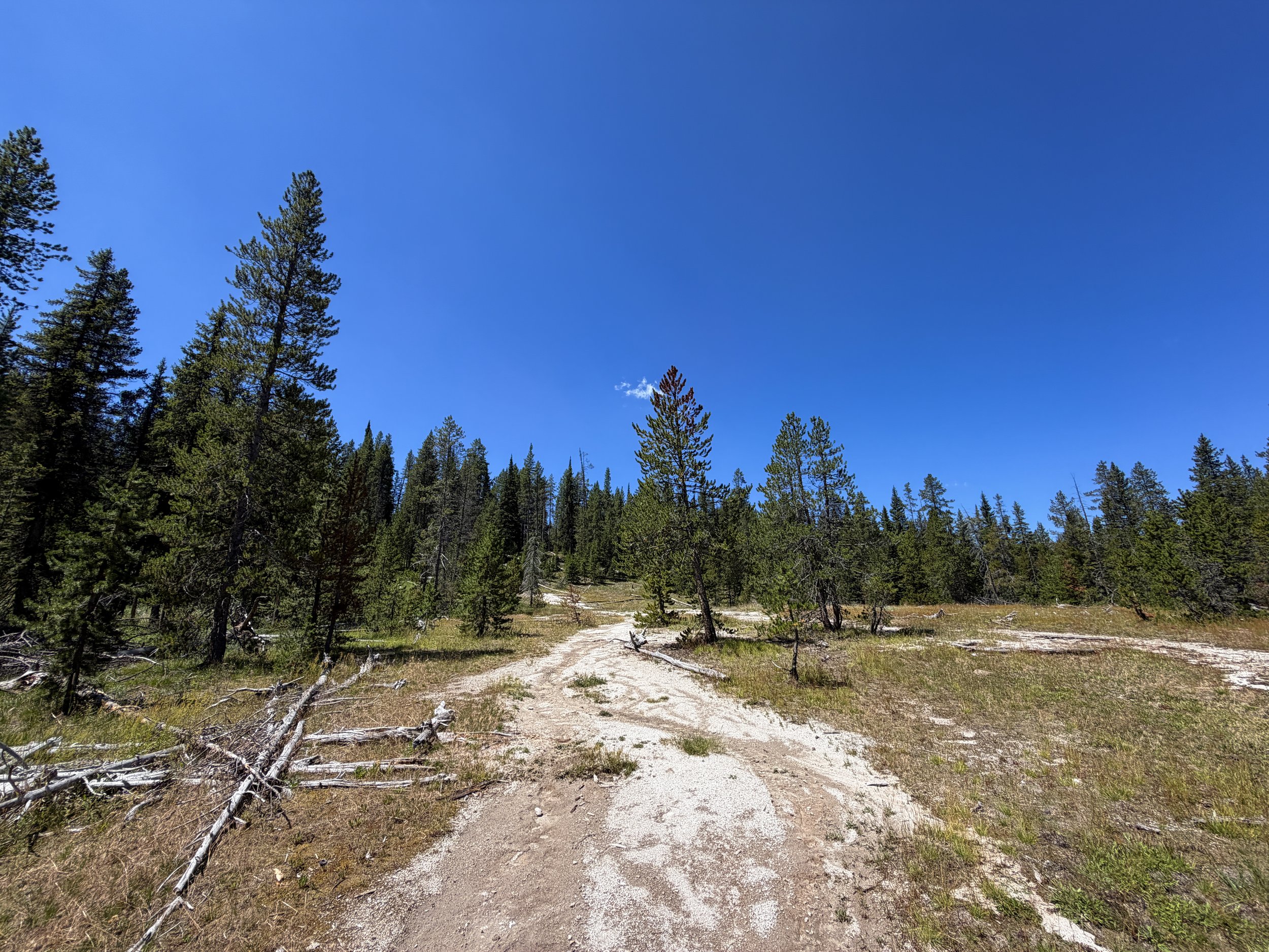 Lone Star Geyser Trail to Halfway Group Yellowstone National Park Wyoming