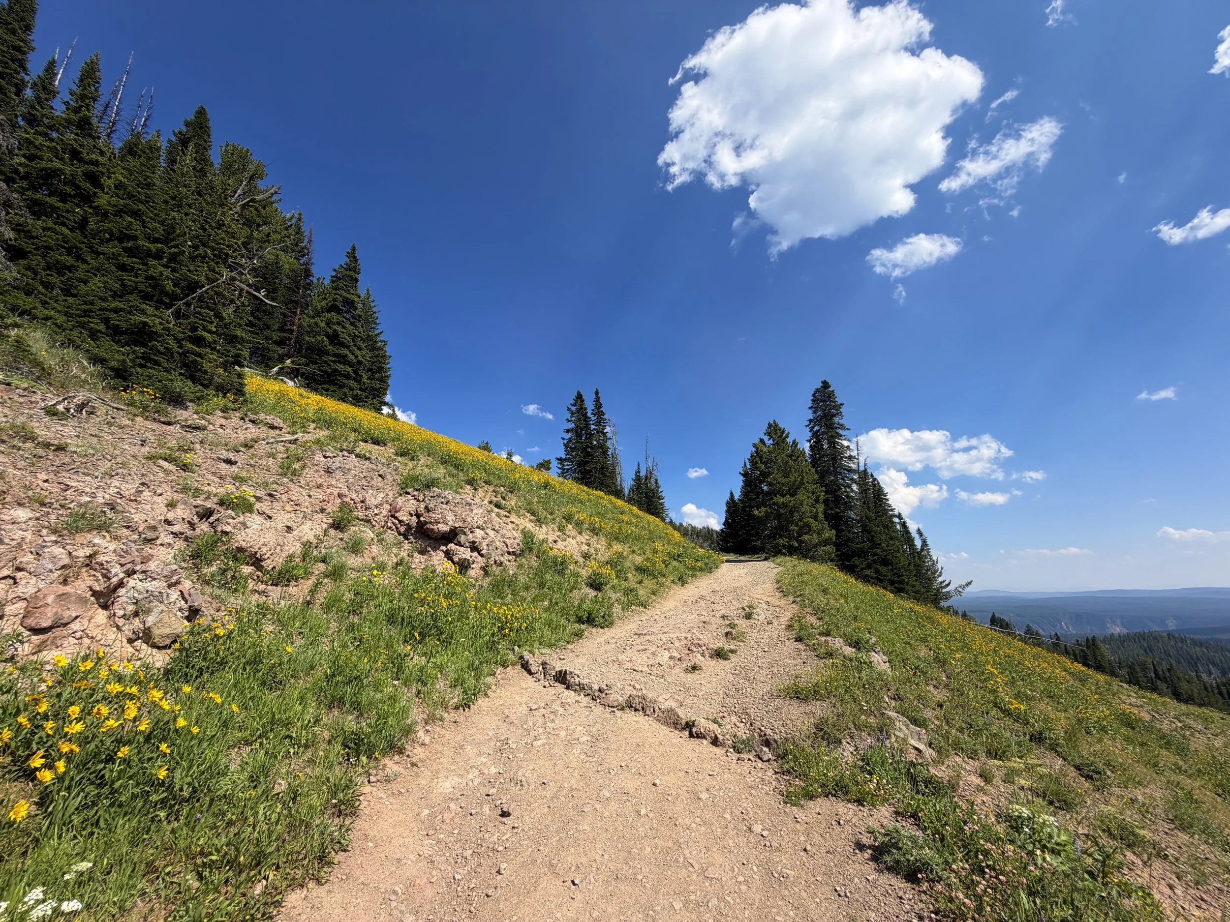 Mt. Washburn Trail via Dunraven Pass Yellowstone National Park Wyoming