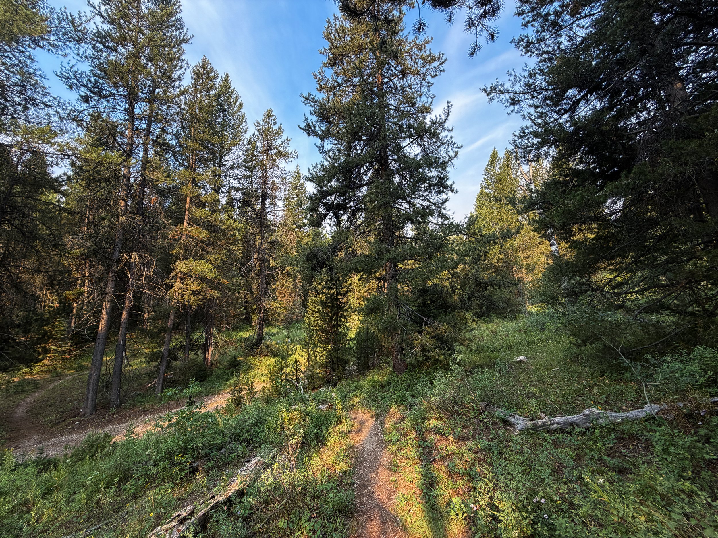 Aspen–Boulder Ridge Loop Trail Grand Teton National Park Wyoming