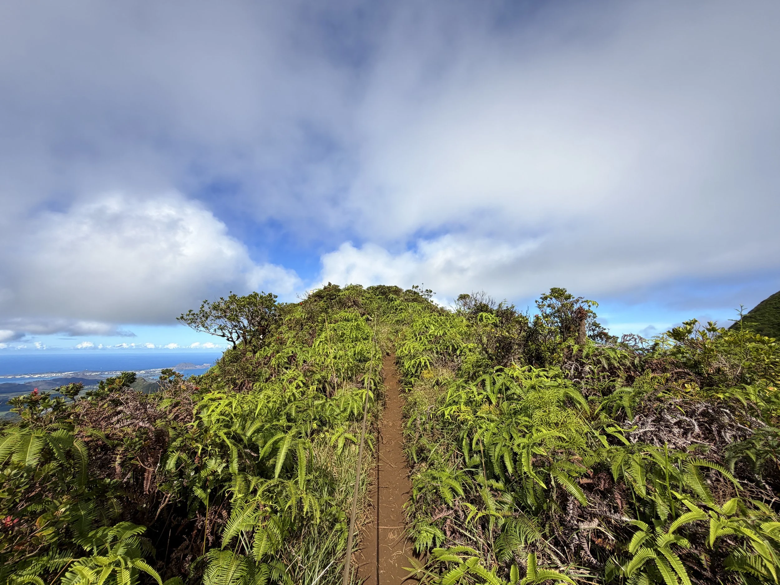 Wiliwilinui Ridge Trail Summit Oahu Hawaii