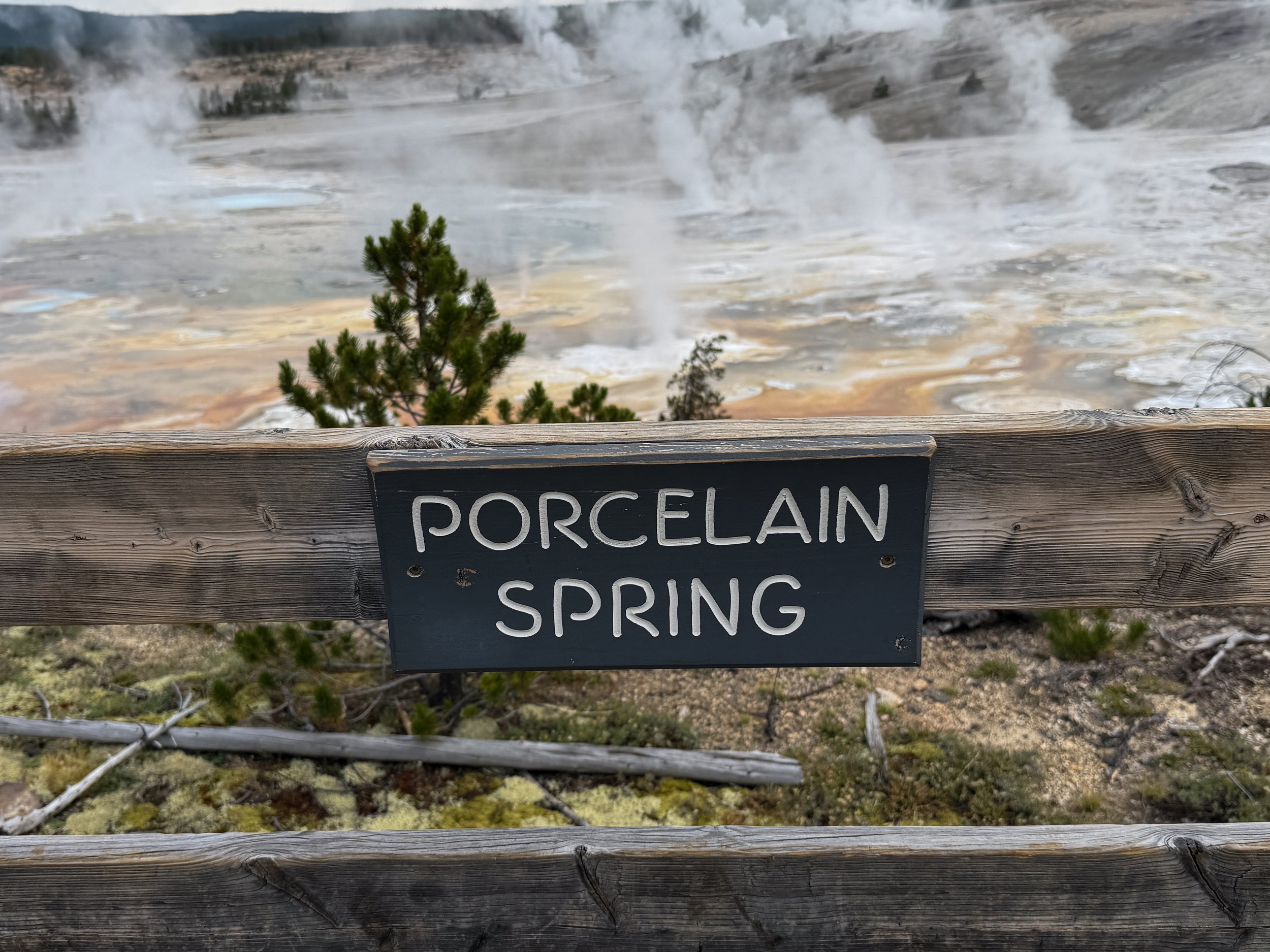 Porcelain Springs Norris Geyser Basin Trail Yellowstone National Park Wyoming