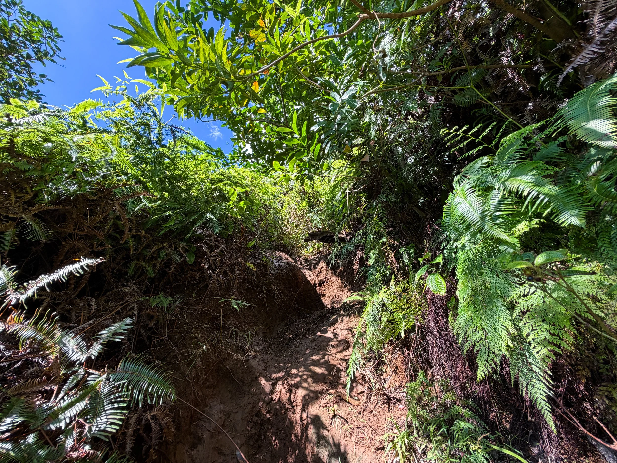 Third Waterfall Climb Kaau Crater Trail Oahu Hawaii