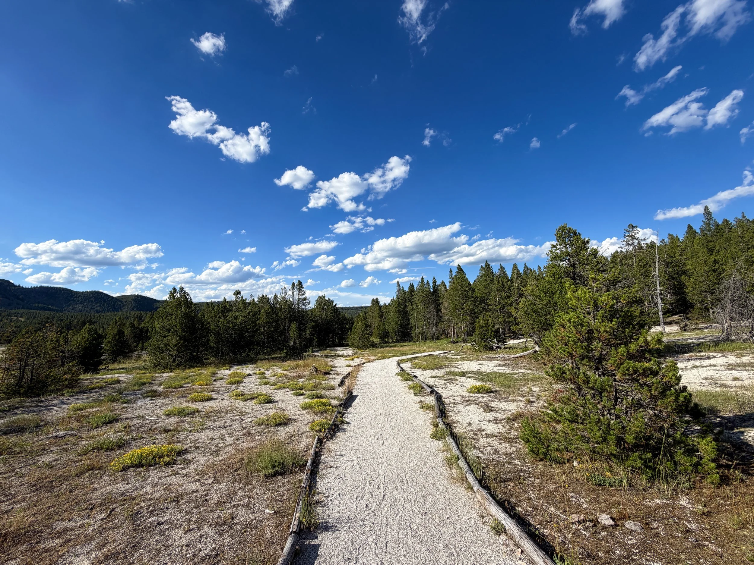 Artemisia Trail Yellowstone National Park Wyoming