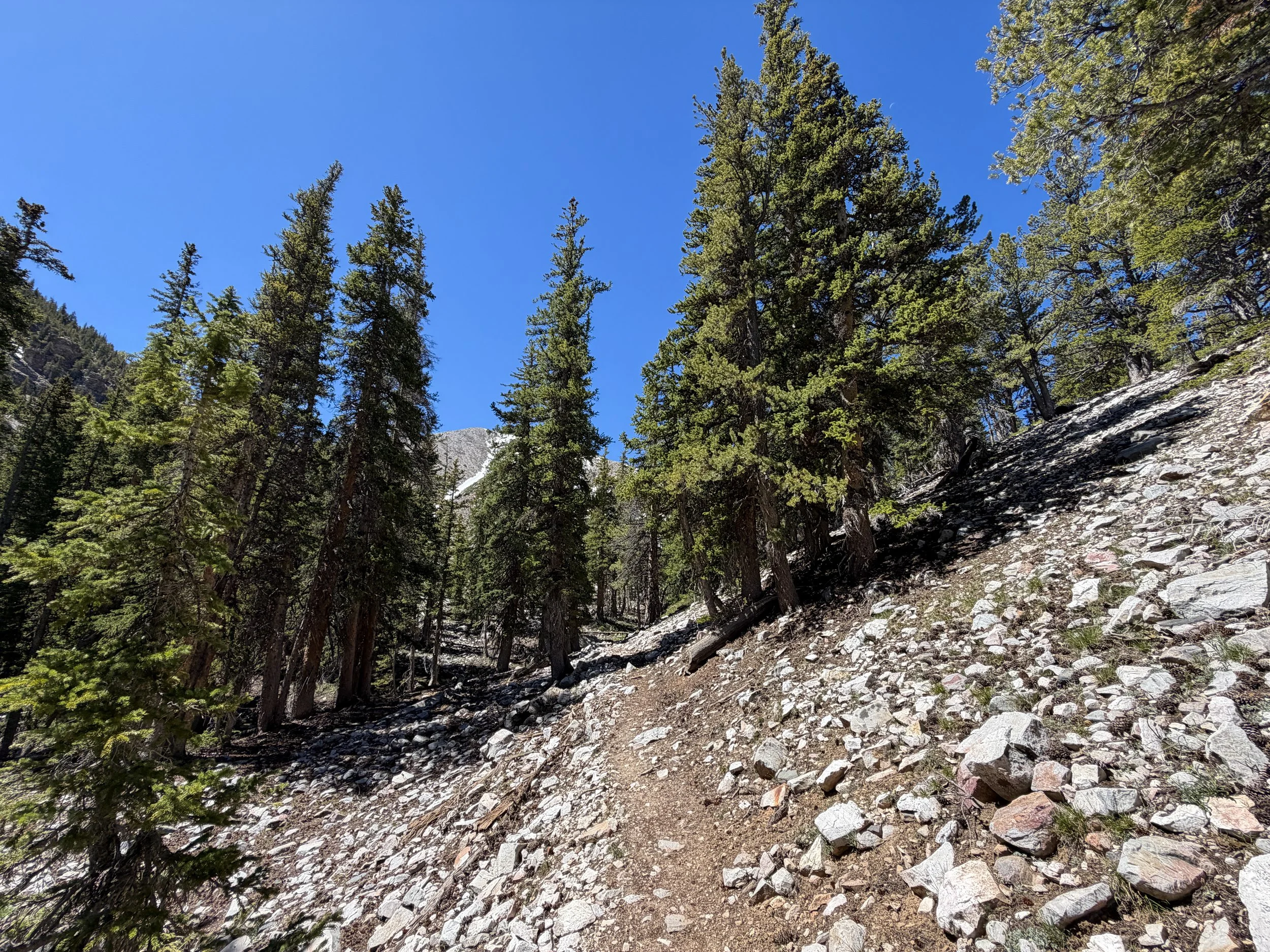 Baker Lake Trail Great Basin National Park Nevada