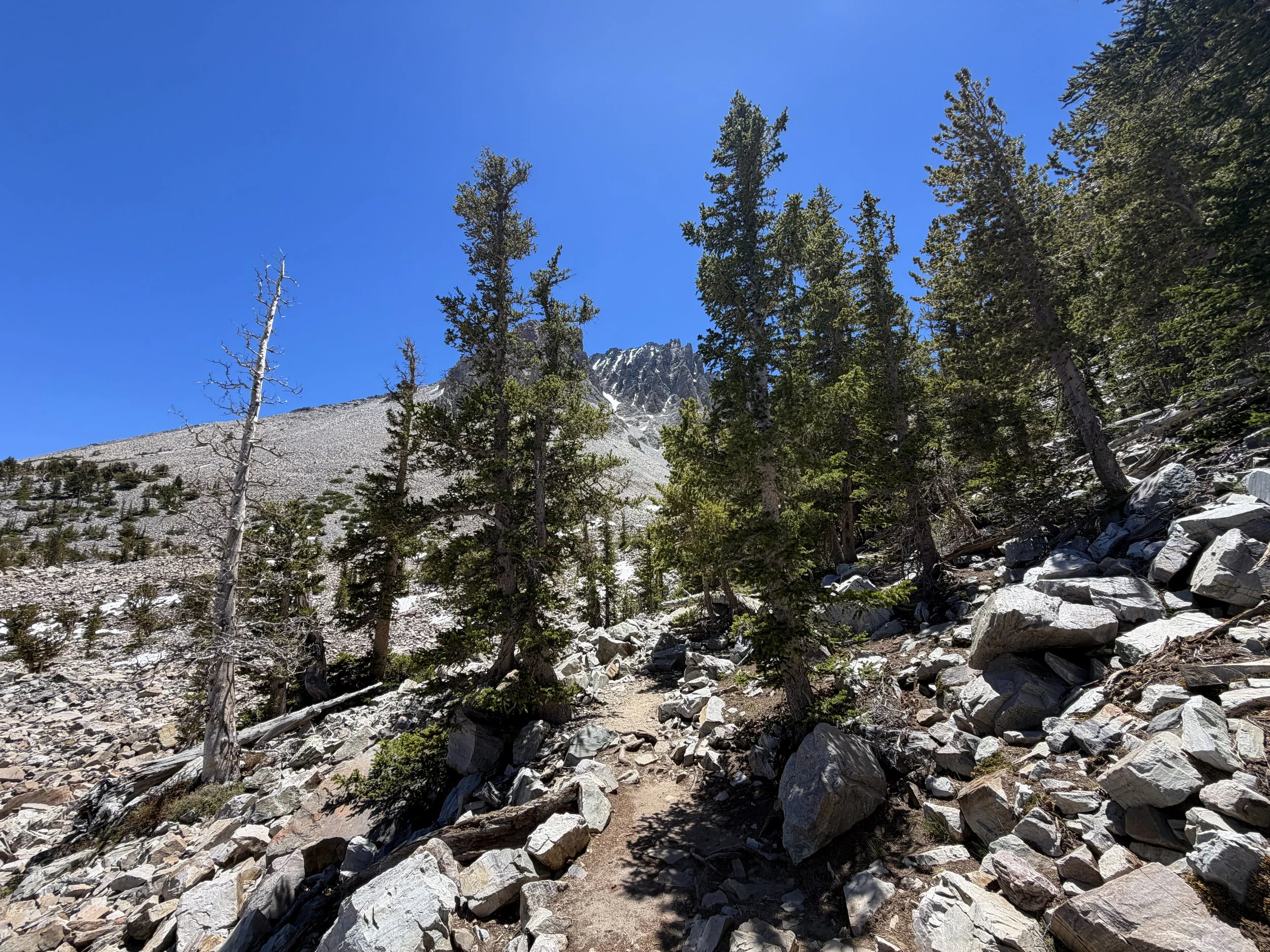 Glacier Trail Great Basin National Park Nevada