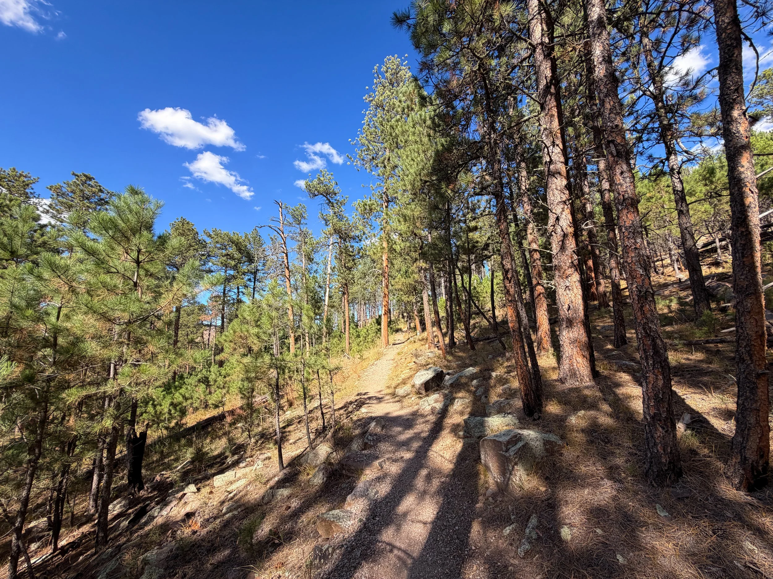 Rankin Ridge Trail Wind Cave National Park South Dakota