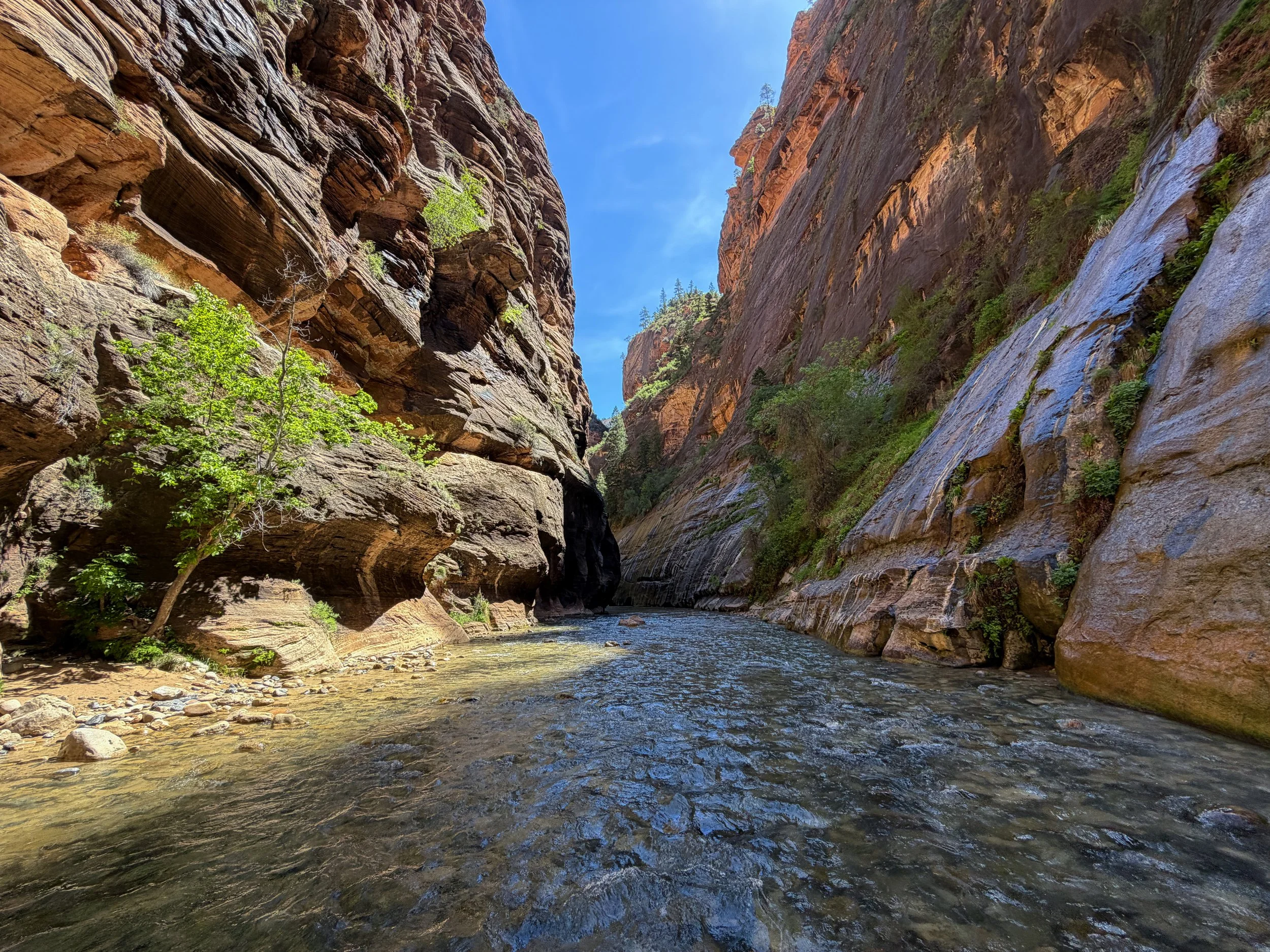 Narrows Hike Zion National Park Utah