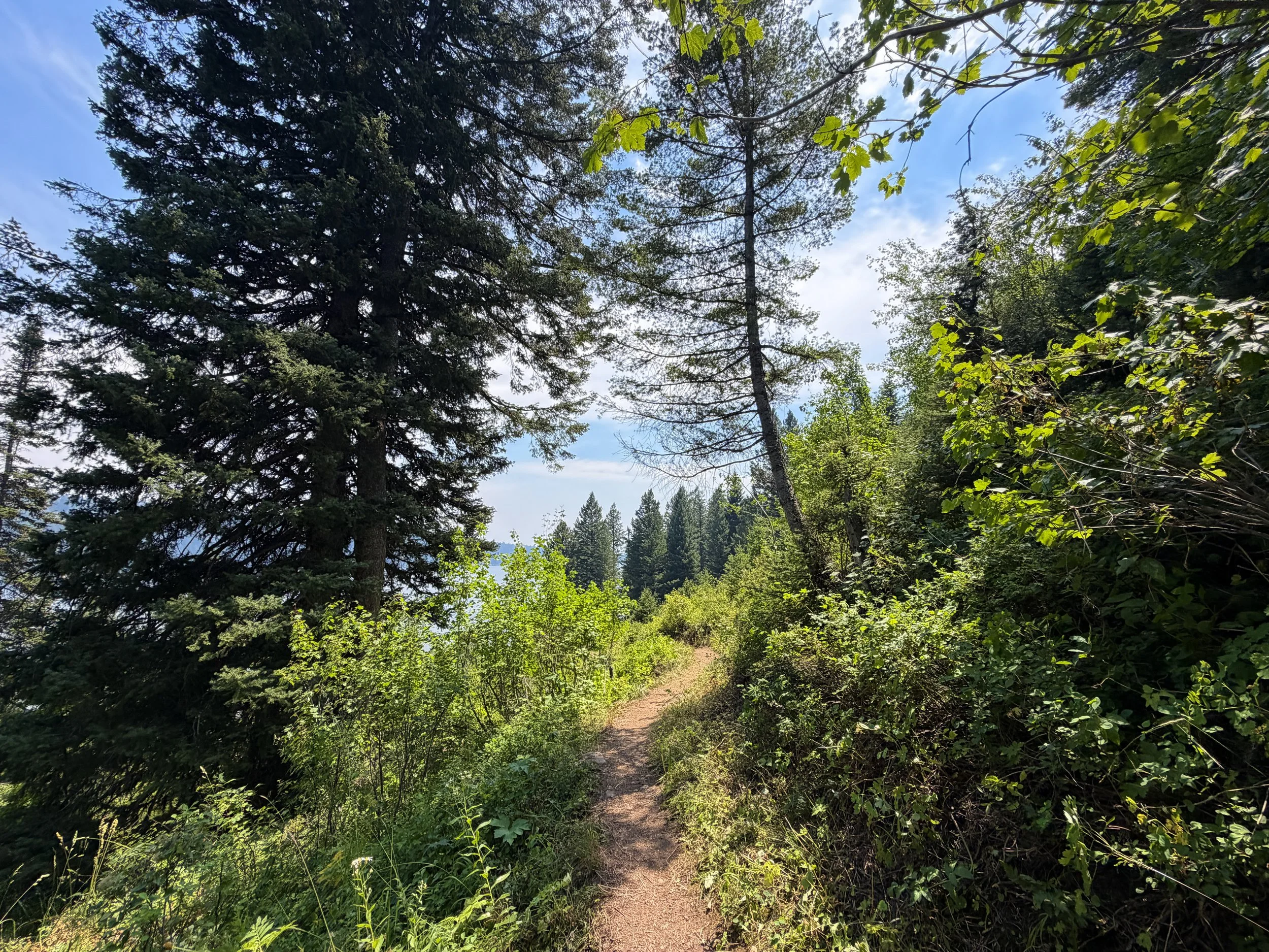 Phelps Lake Trail Grand Teton National Park Wyoming