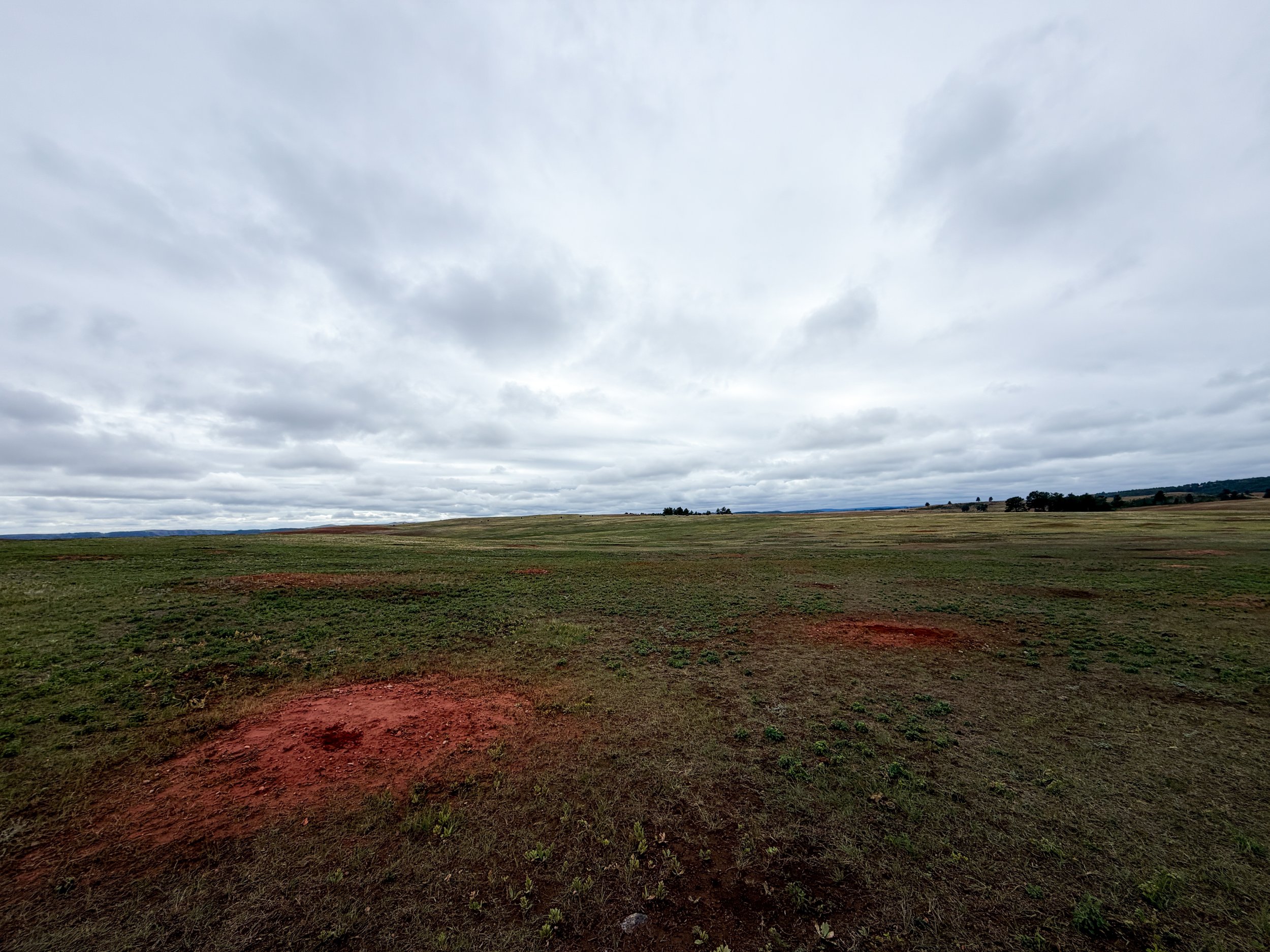 Highland Creek Trail Wind Cave National Park South Dakota