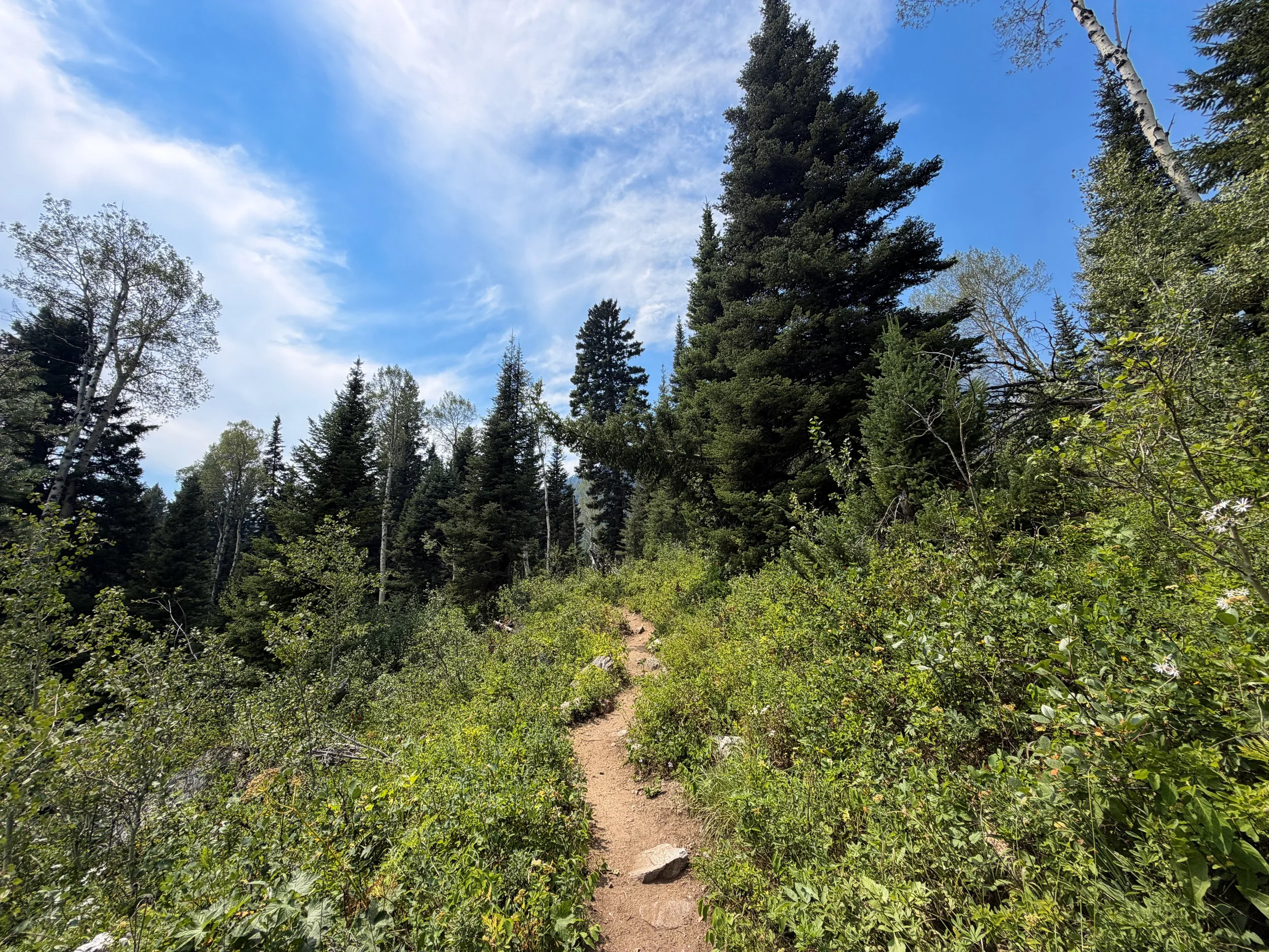 Phelps Lake Loop Trail Grand Teton National Park Wyoming