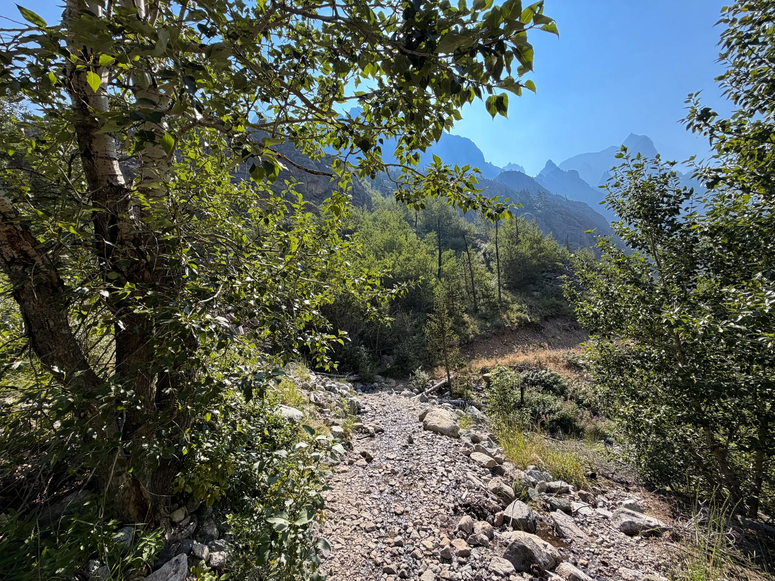 Beaten Path Trail Beartooth Mountains Montana