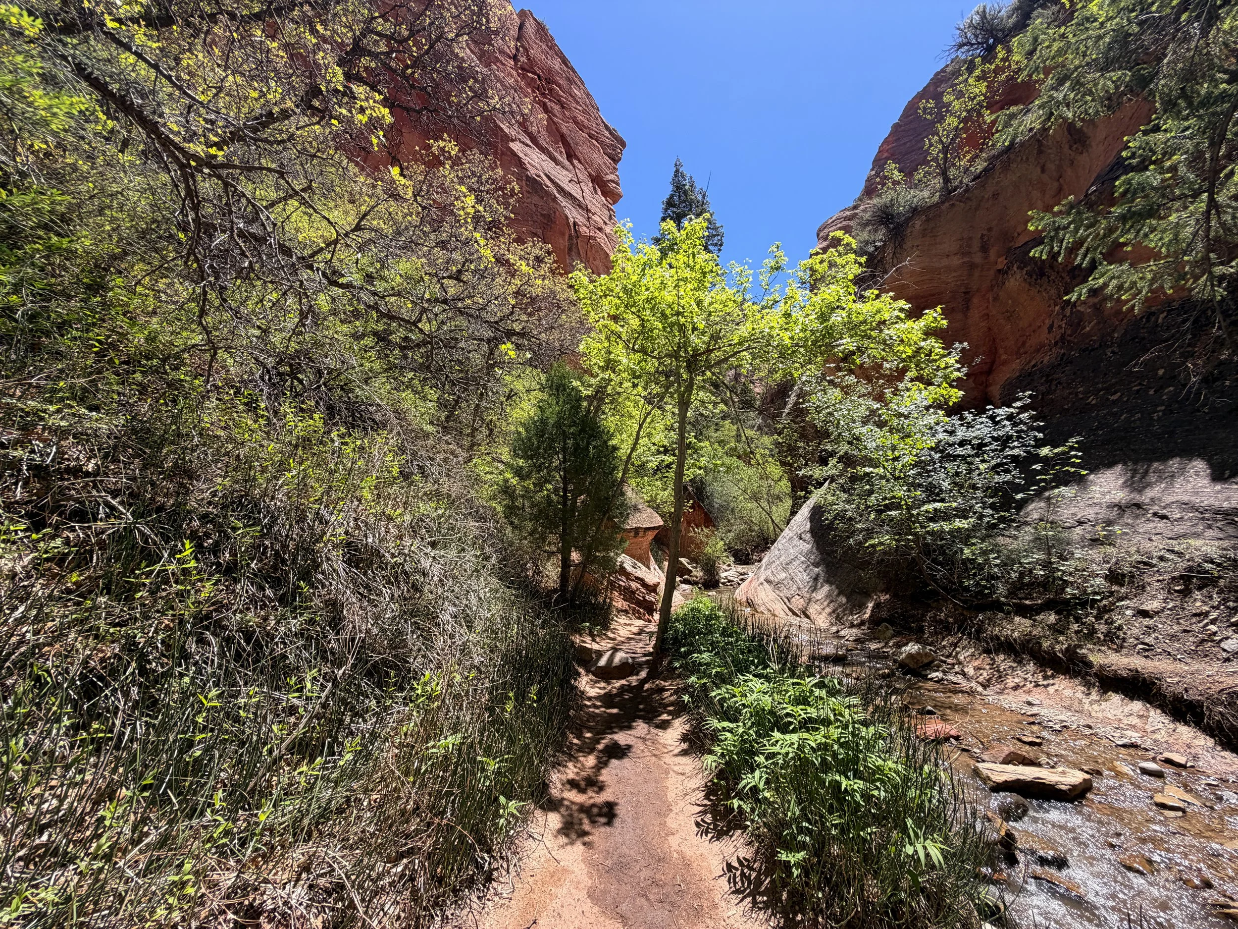 Kanarra Falls Trail Kanarraville Utah