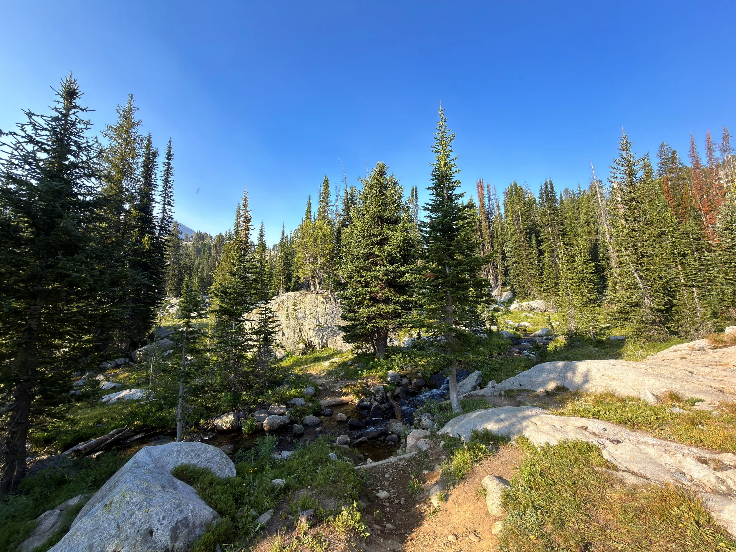 Beaten Path Trail Beartooth Mountains Montana