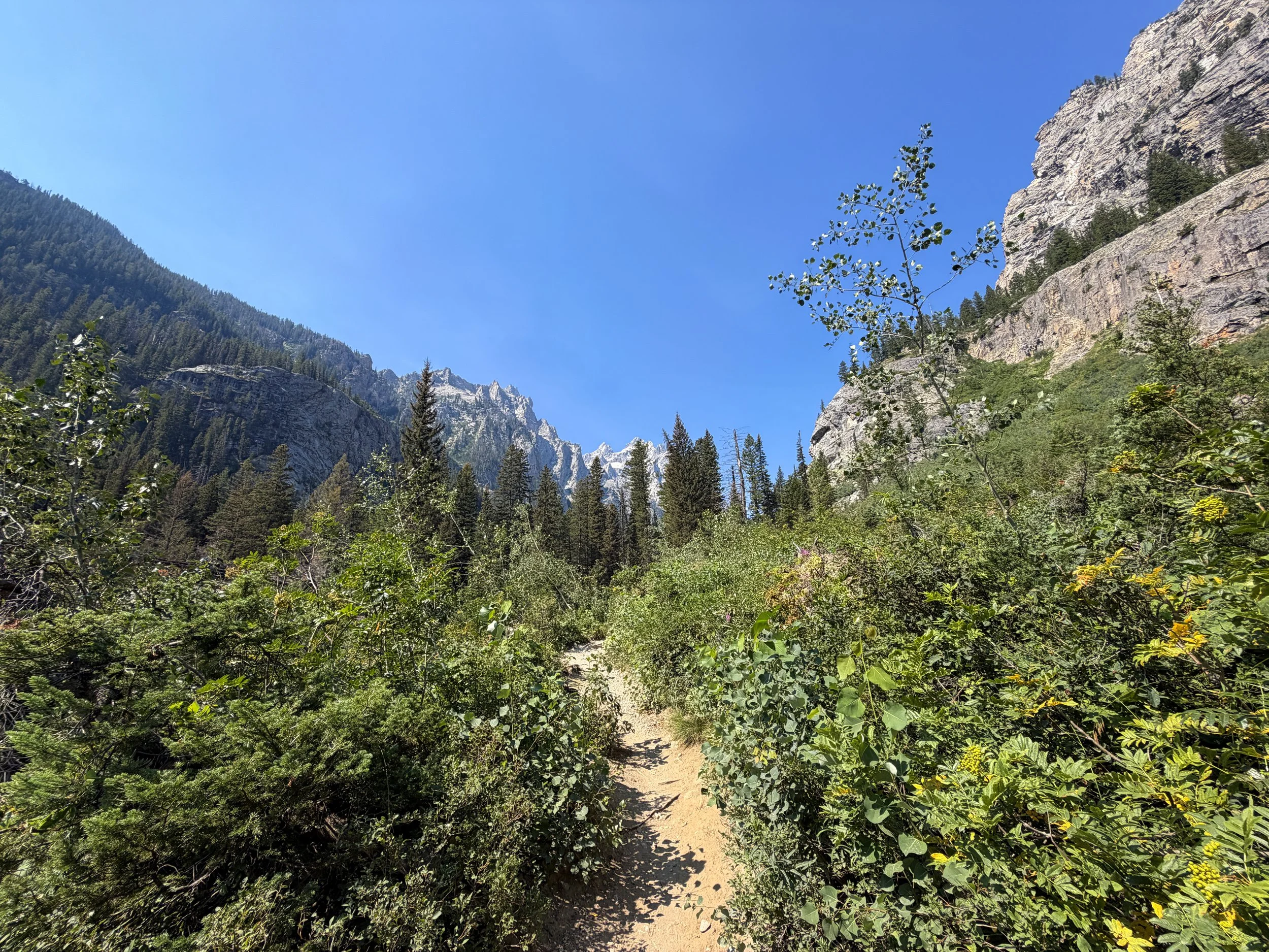 Cascade Canyon Trail Grand Teton National Park Wyoming