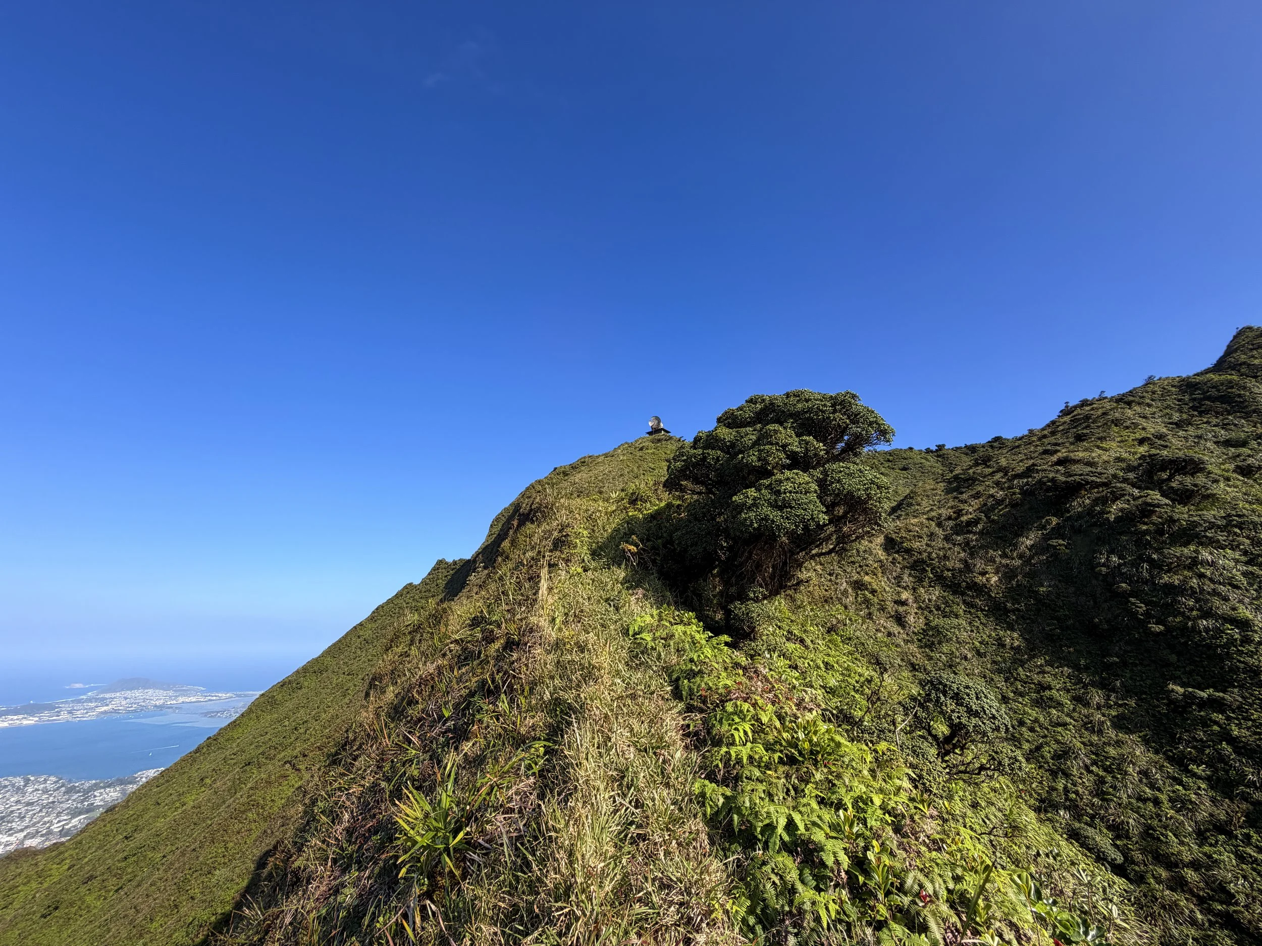 Moanalua Saddle to Stairway to Heaven Koolau Summit Trail Oahu Hawaii