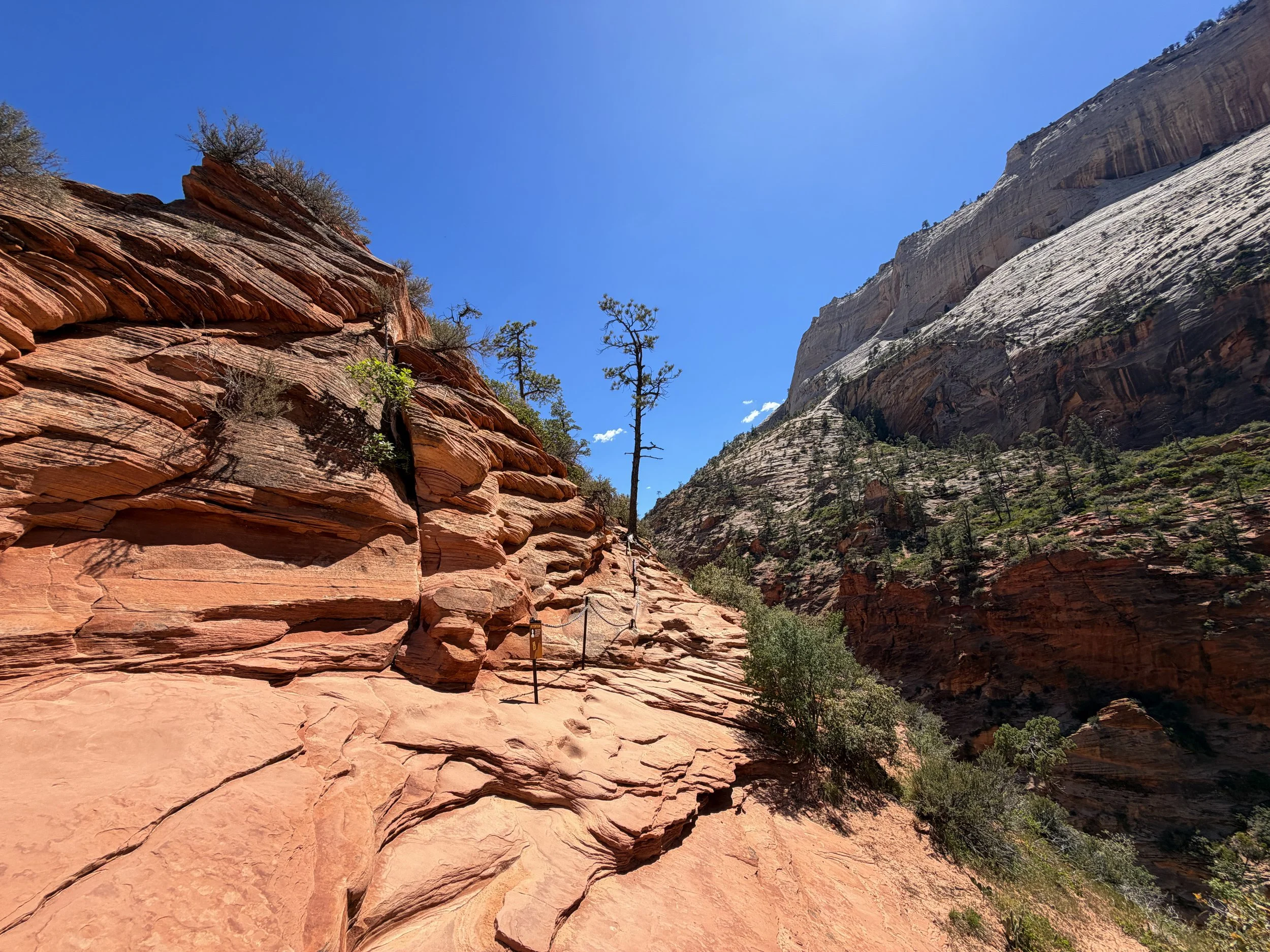 Angels Landing Trail Chains Zion National Park Utah