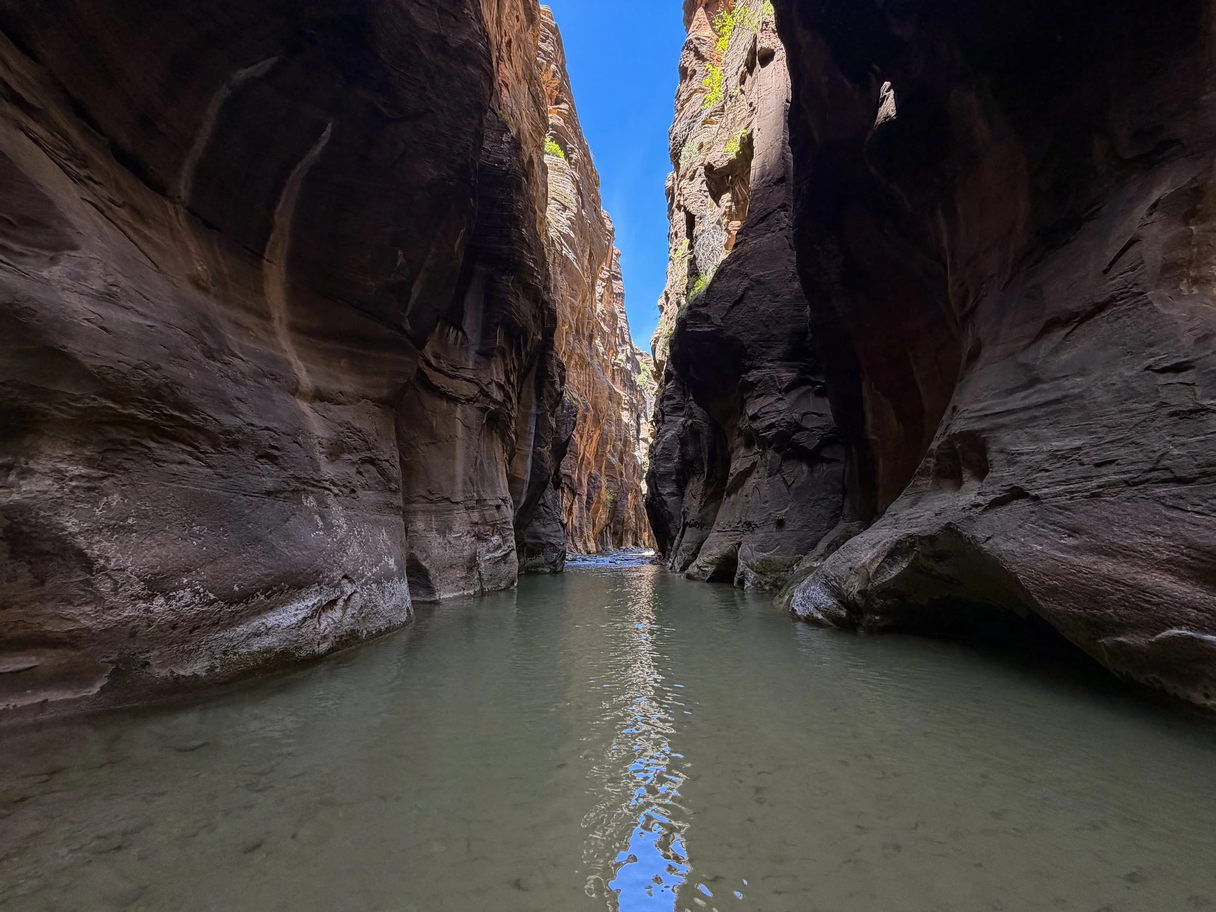 The Narrows Bottom Up to Big Springs Zion National Park Utah