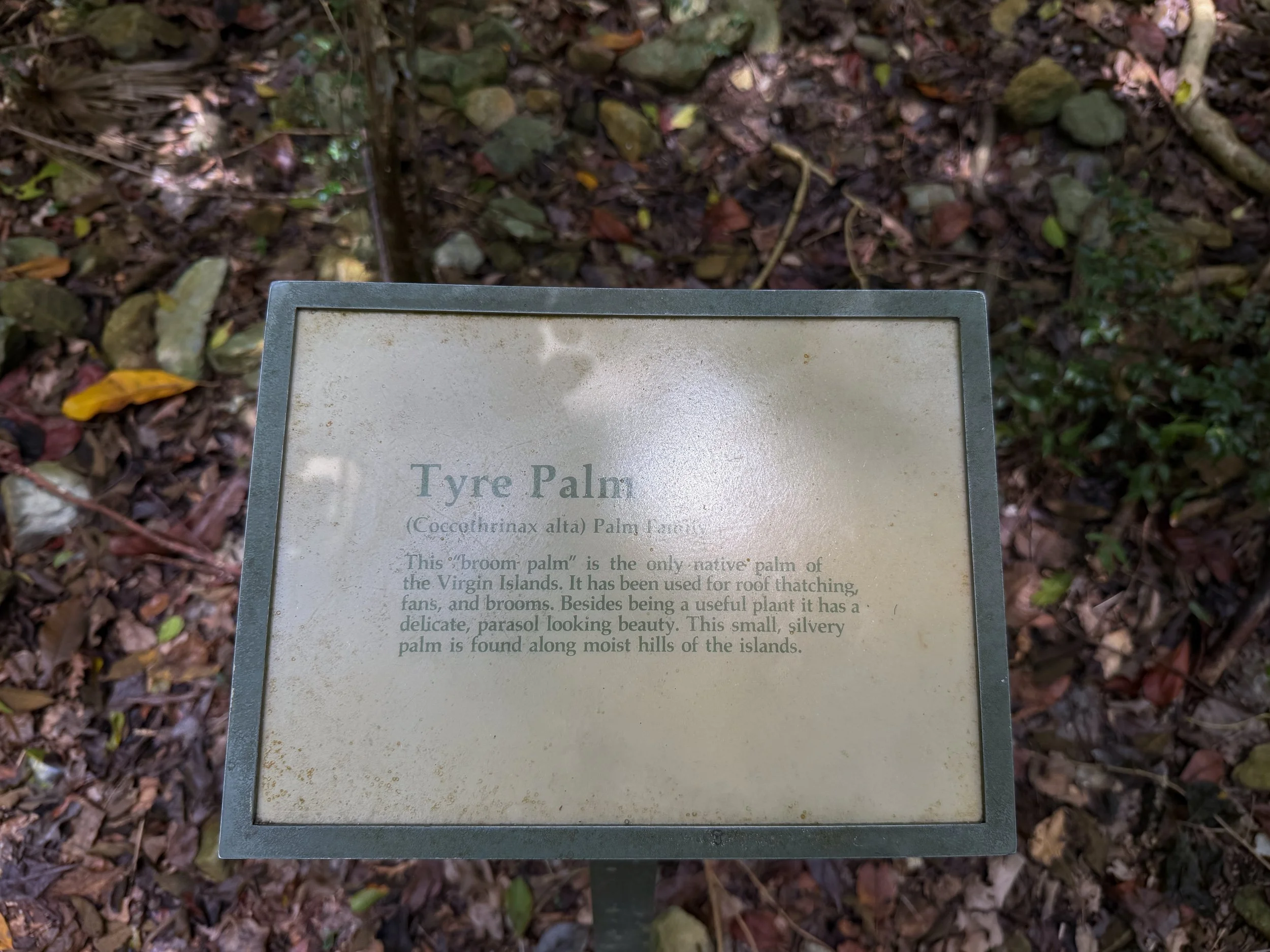 Reef Bay Trail Virgin Islands National Park