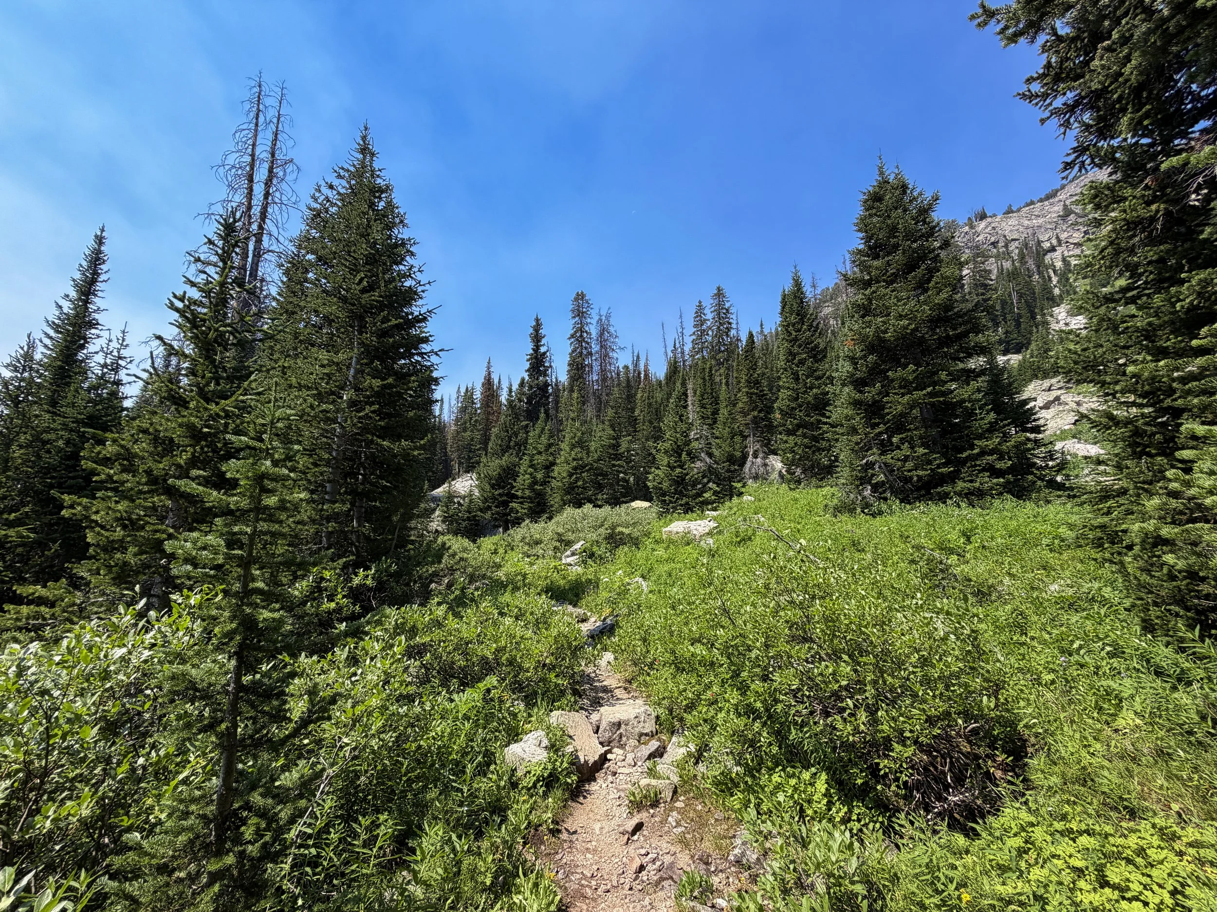 The Beaten Path Trail Beartooth Mountains Montana