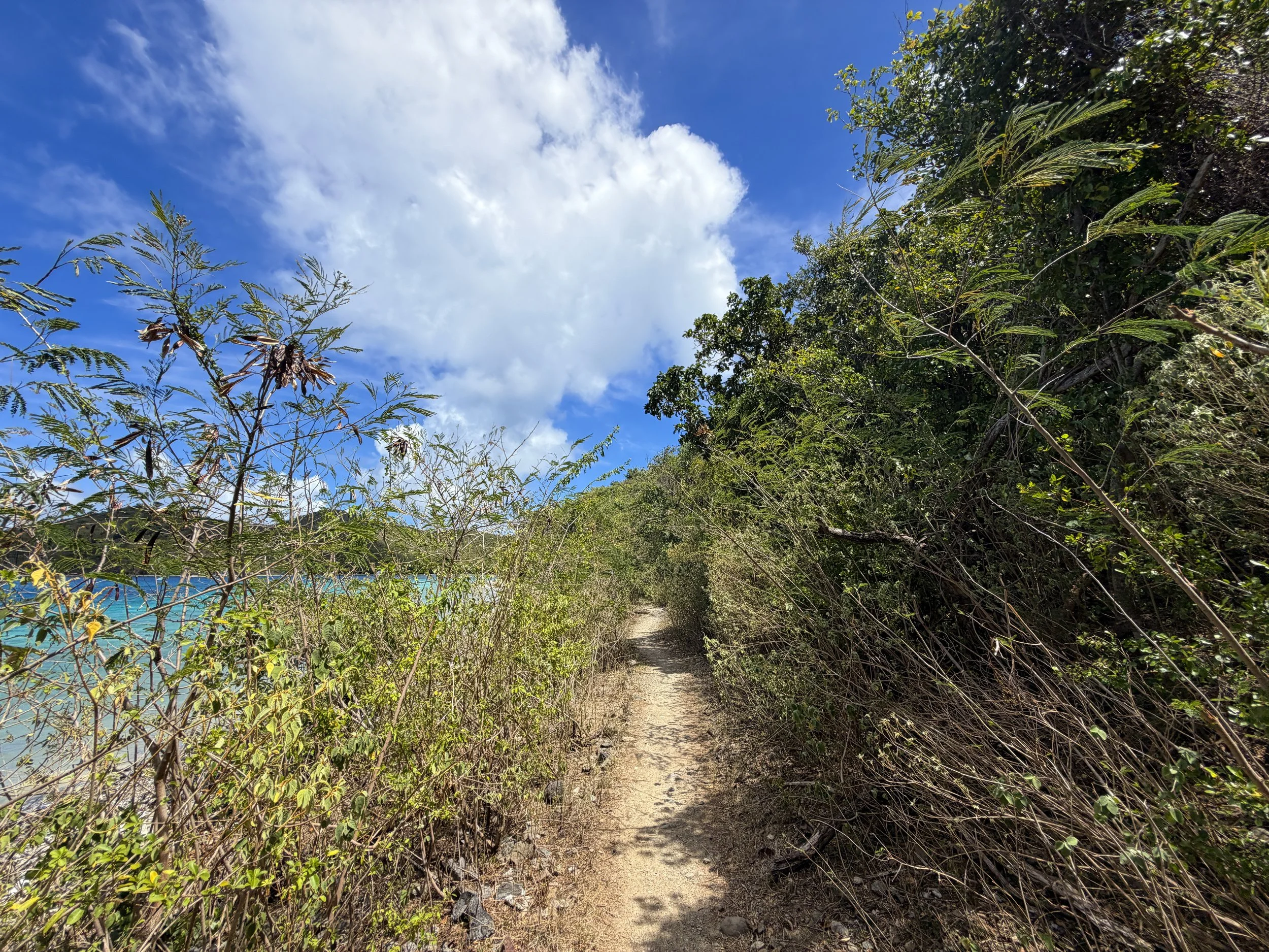 Leinster Bay Trail to Waterlemon Cay Virgin Islands National Park