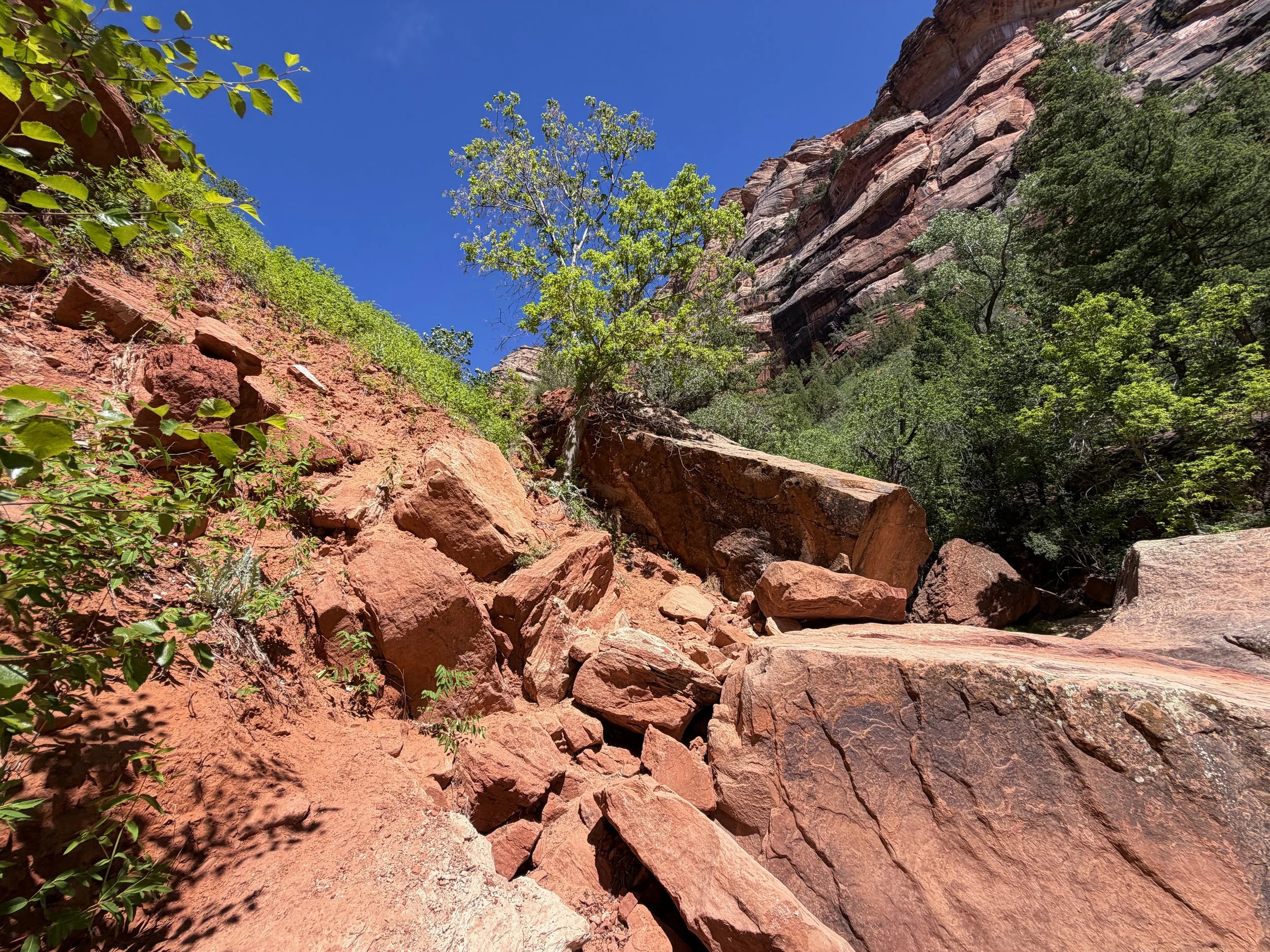 Subway Trail Zion National Park Utah