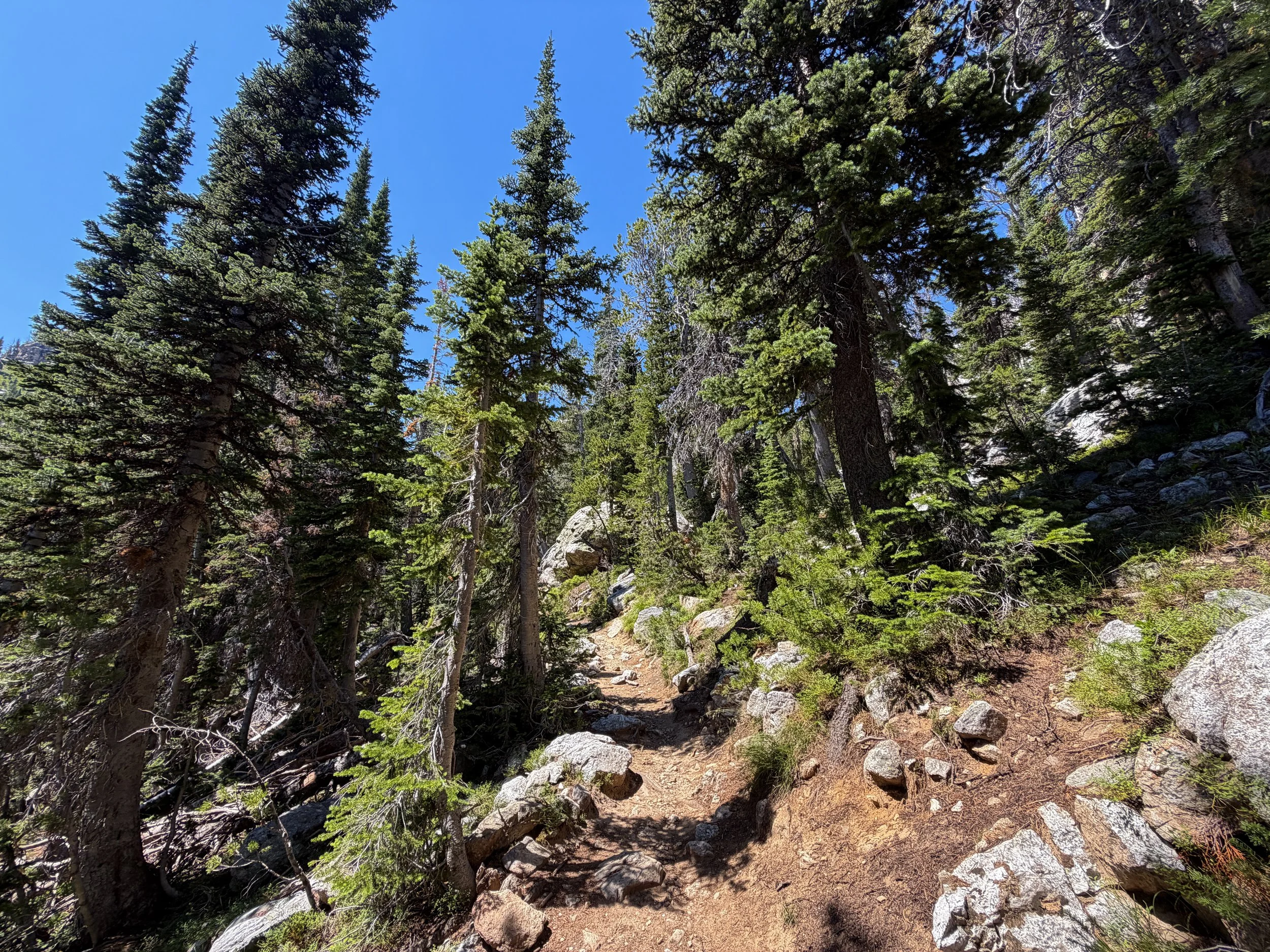 Surprise & Amphitheater Lakes Trail Grand Teton National Park Wyoming