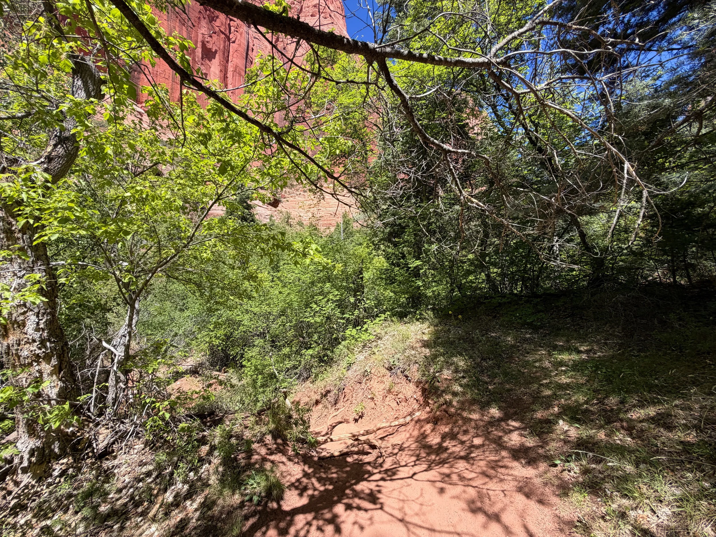 Taylor Creek Trail Zion National Park Utah