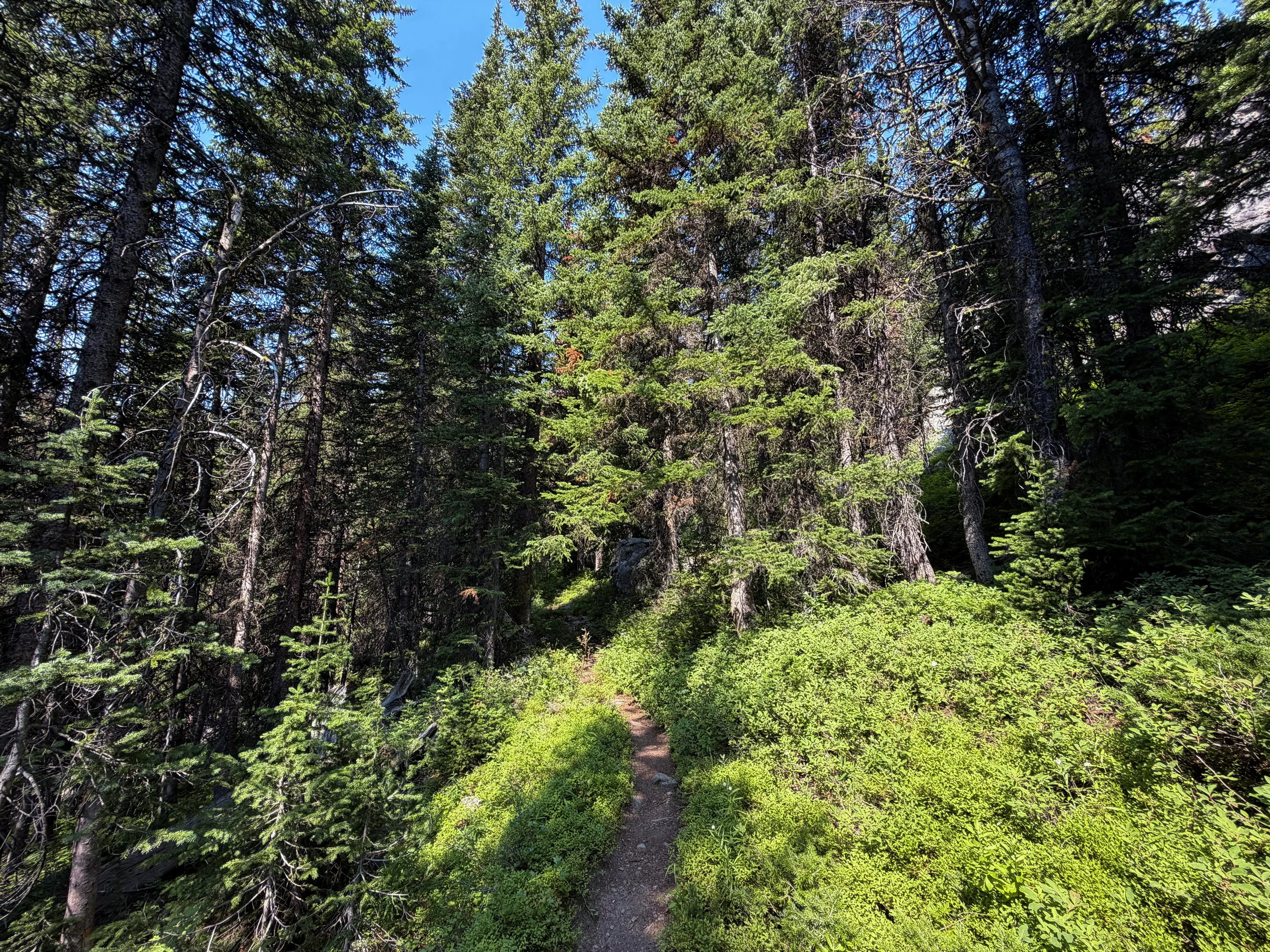 East Rosebud Trail The Beaten Path Beartooth Mountains Montana