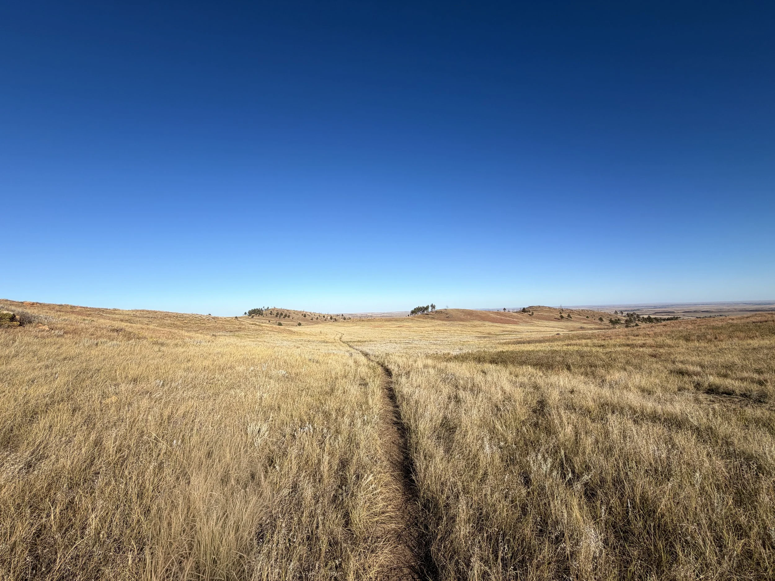 Boland Ridge Trail Wind Cave National Park South Dakota