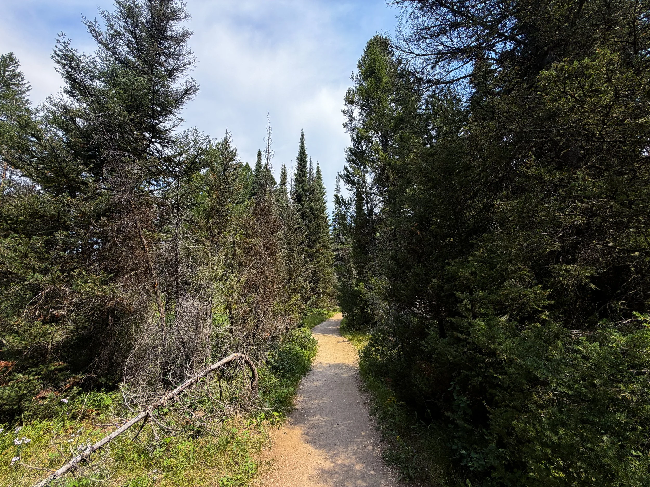 Phelps Lake Loop Hike Grand Teton National Park Wyoming