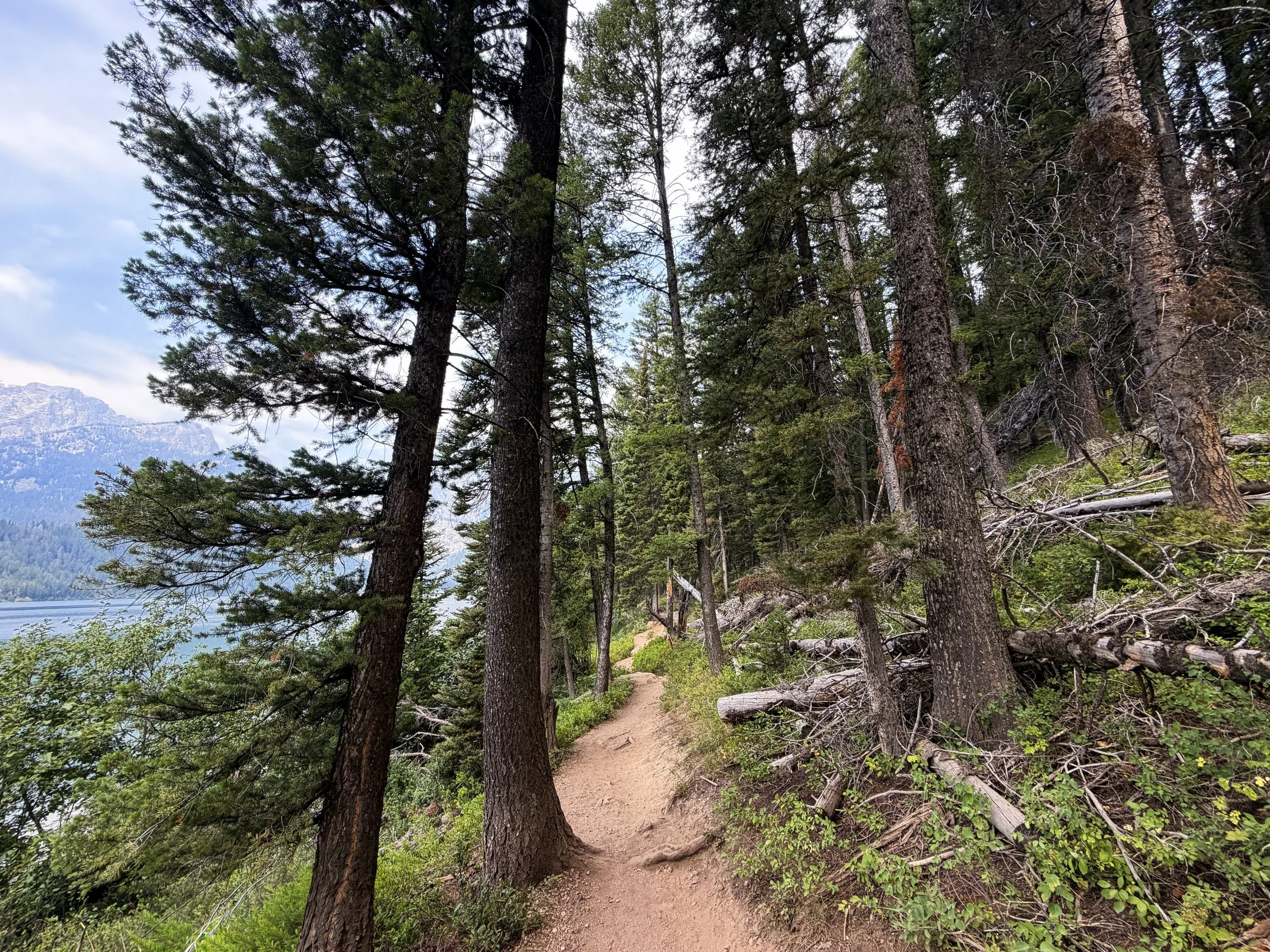 Phelps Lake Loop Trail to Jumping Rock Grand Teton National Park Wyoming
