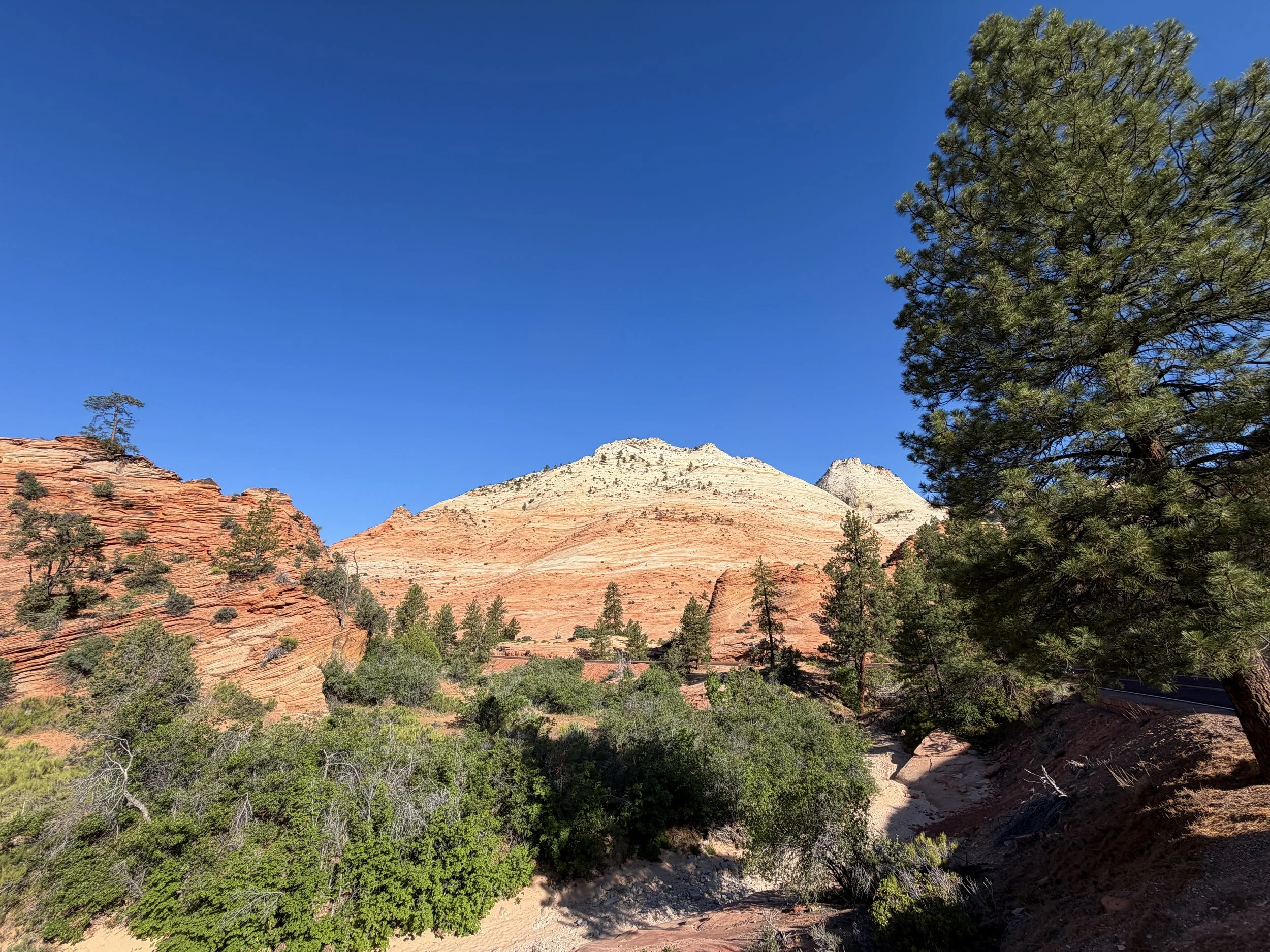 South Ariel Peak Trail Zion National Park Utah