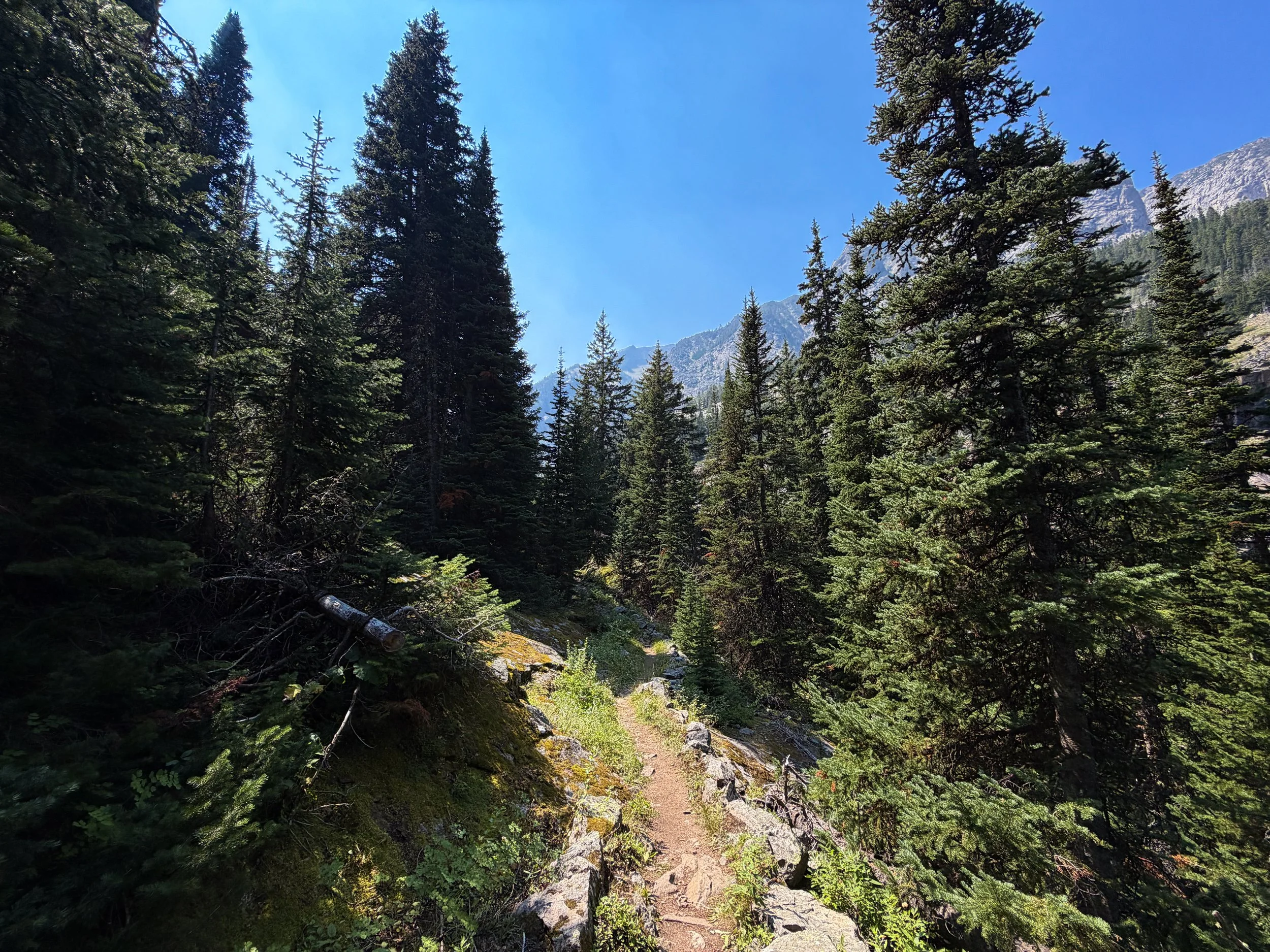 East Rosebud Trail The Beaten Path Beartooth Mountains Montana