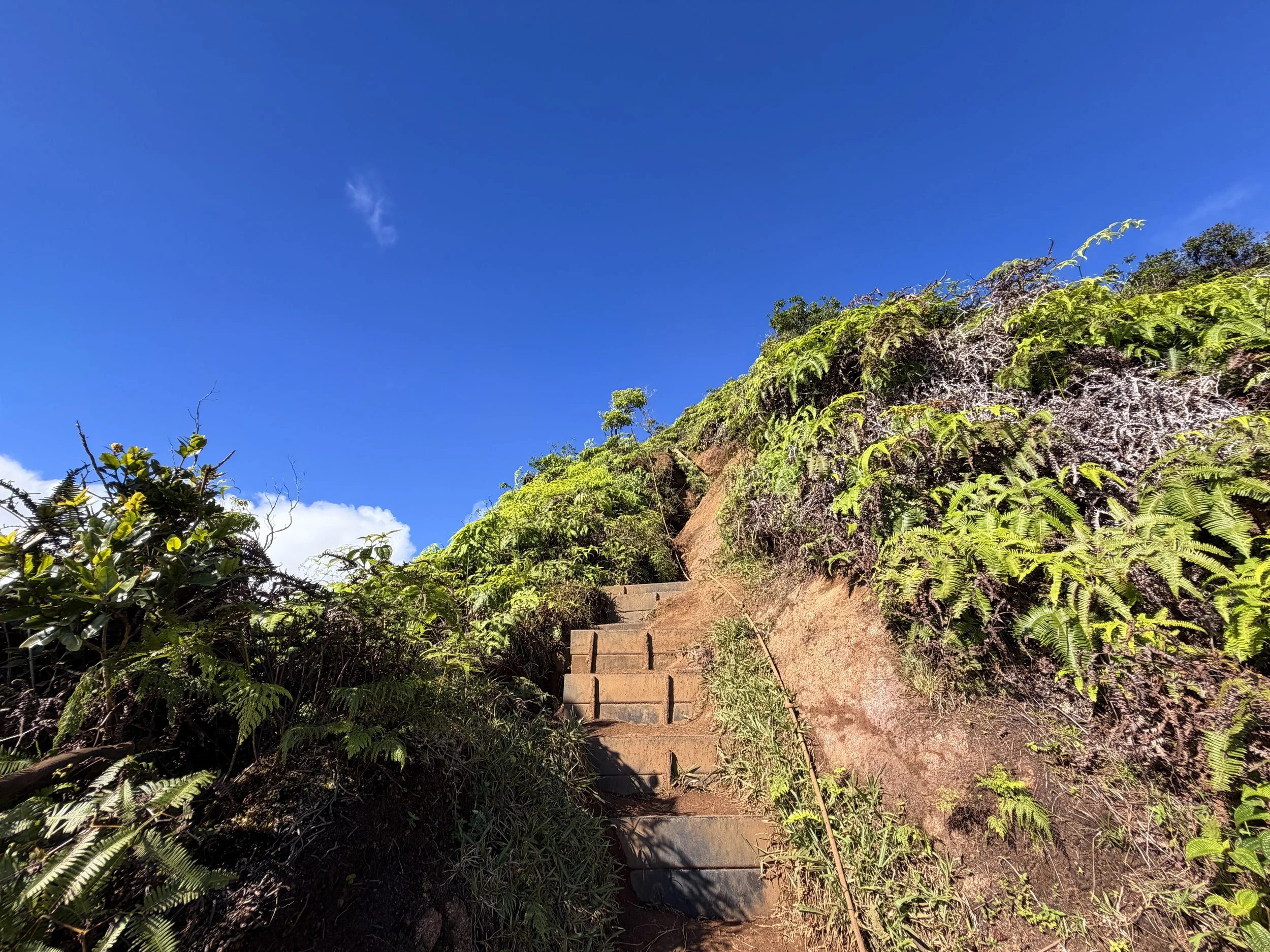 Wiliwilinui Ridge Hike Stairs Oahu Hawaii