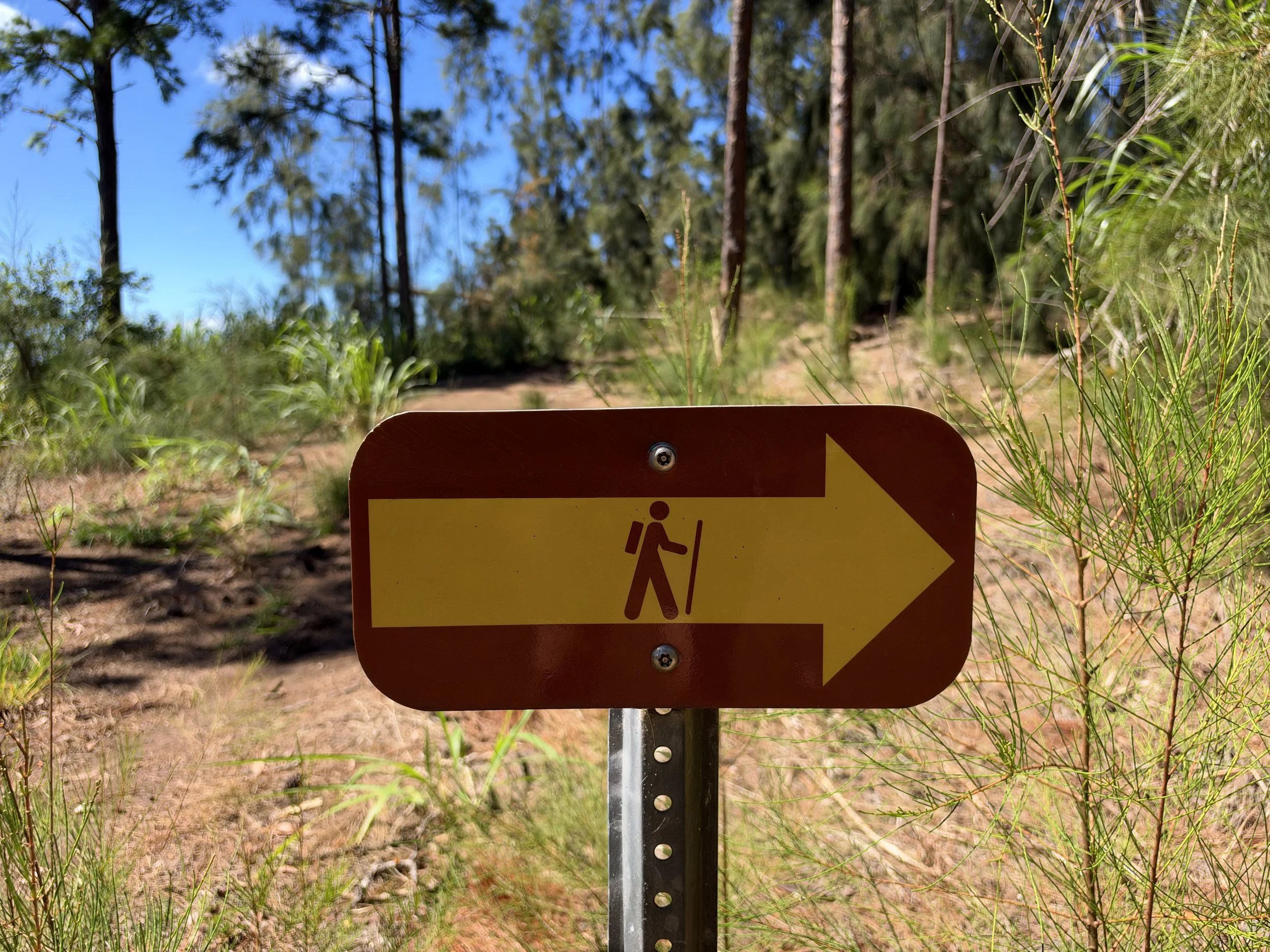 Kuaokala Trail Oahu Hawaii