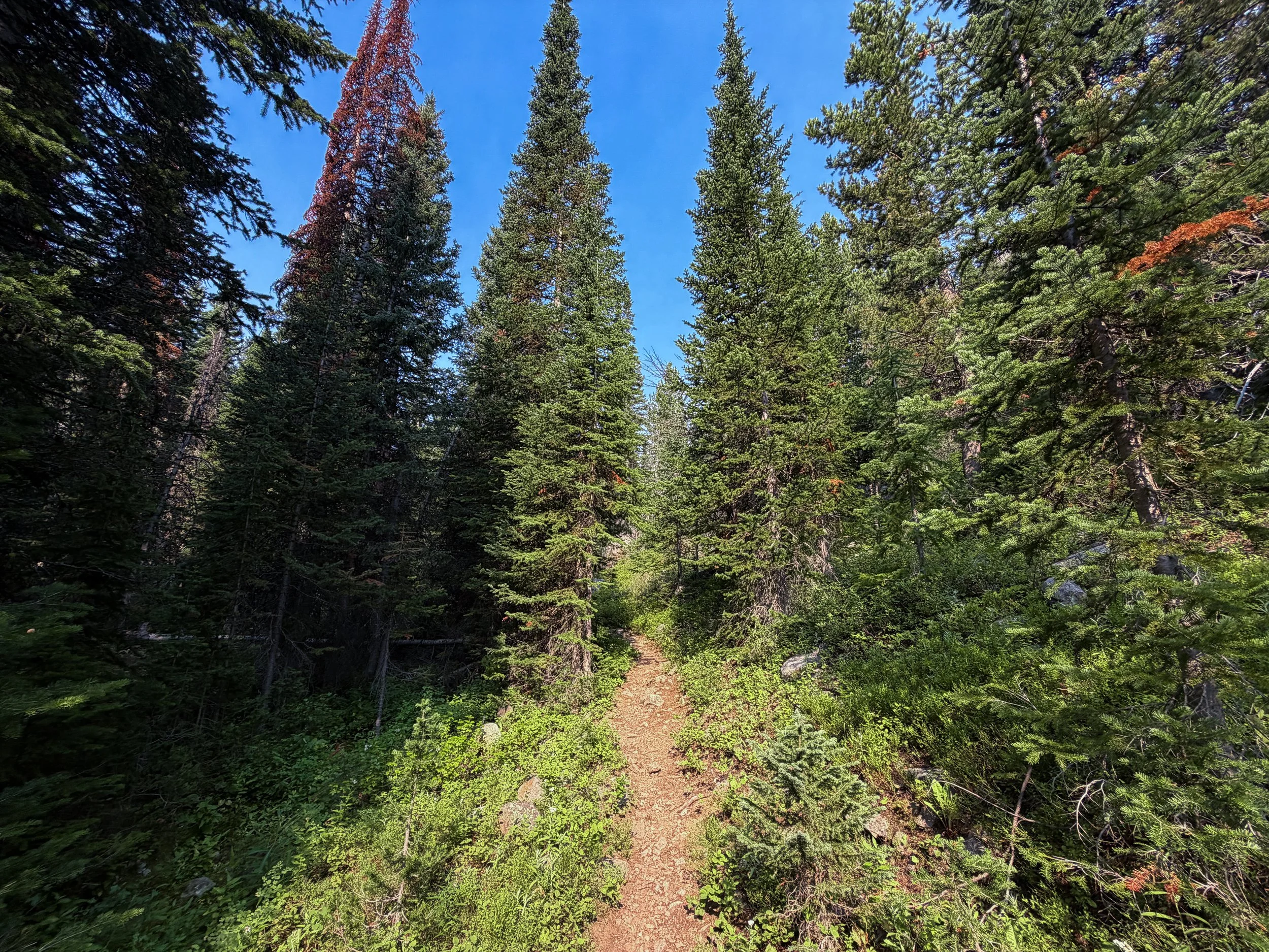 East Rosebud Trail The Beaten Path Beartooth Mountains Montana