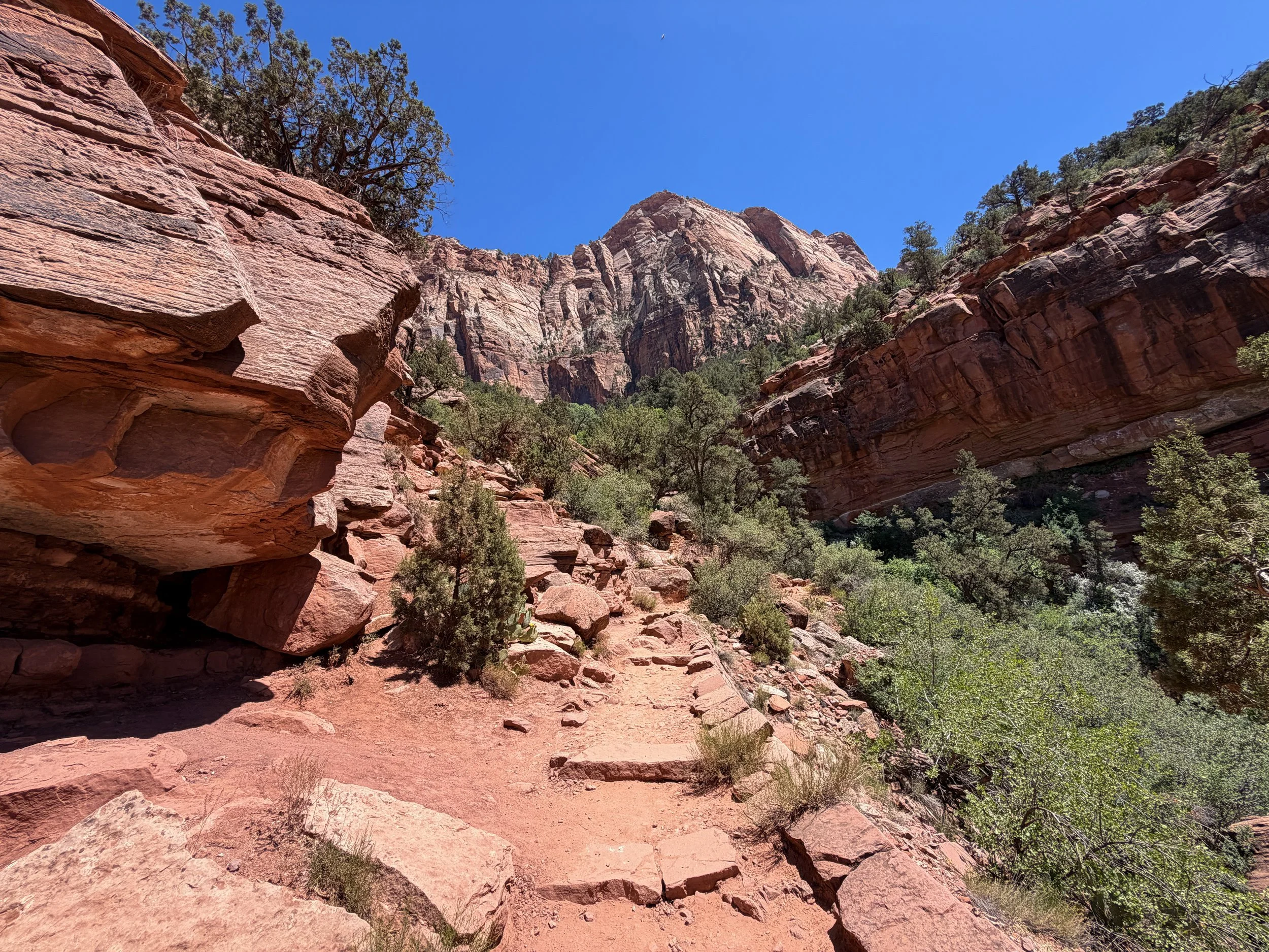Watchman Hike Zion National Park Utah