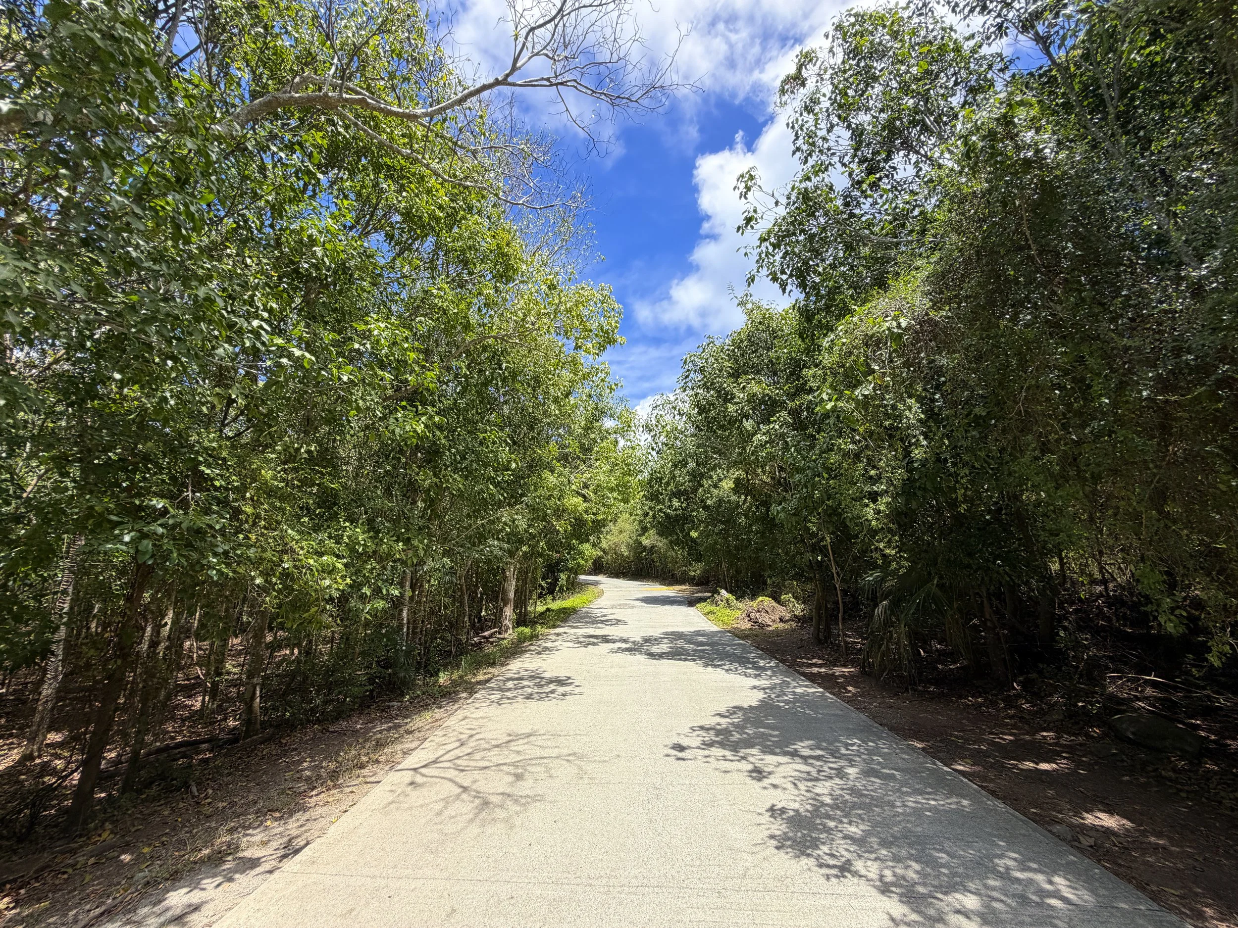 Francis Bay Trail Virgin Islands National Park
