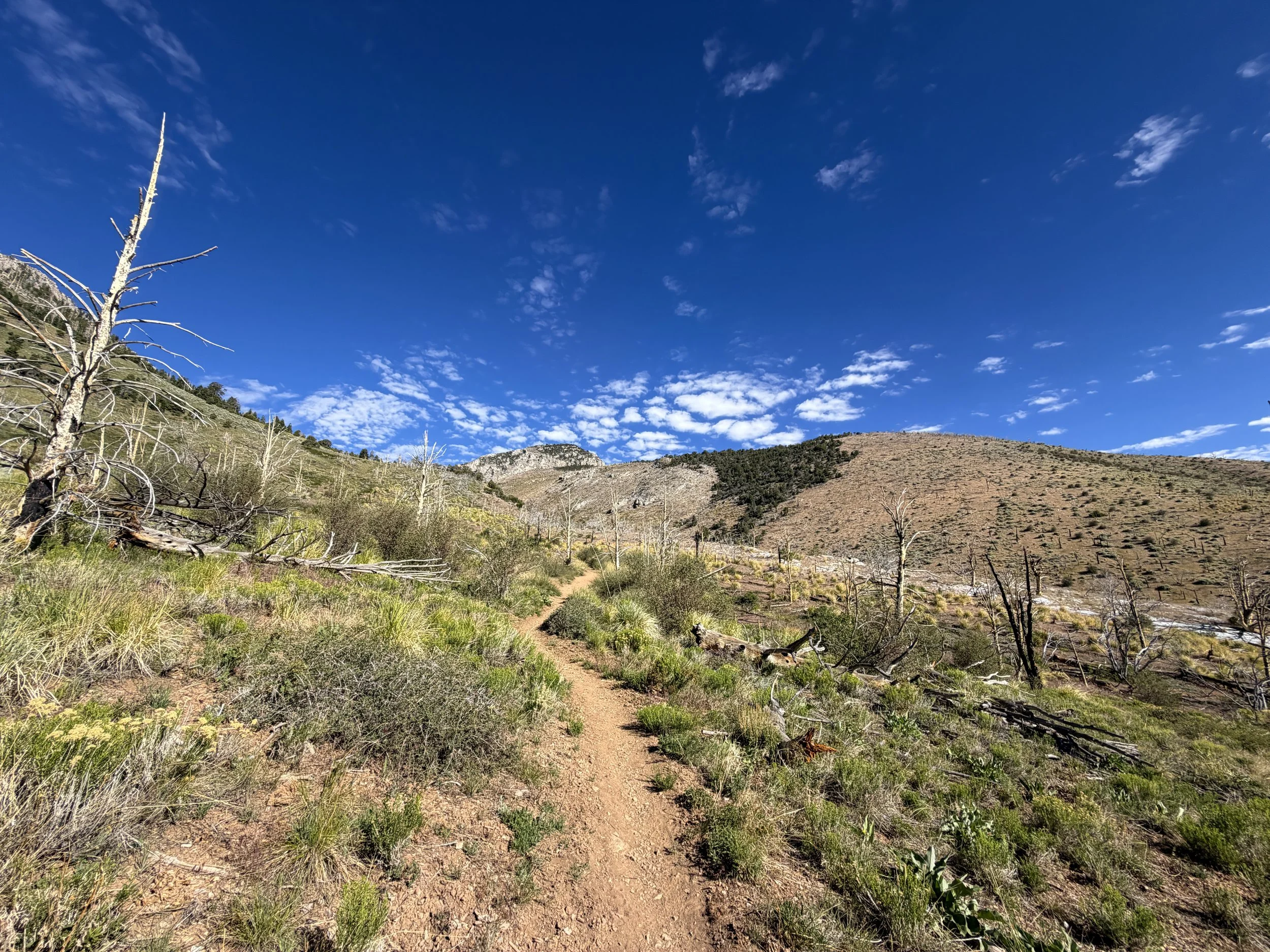 Lexington Arch Trail Great Basin National Park Nevada