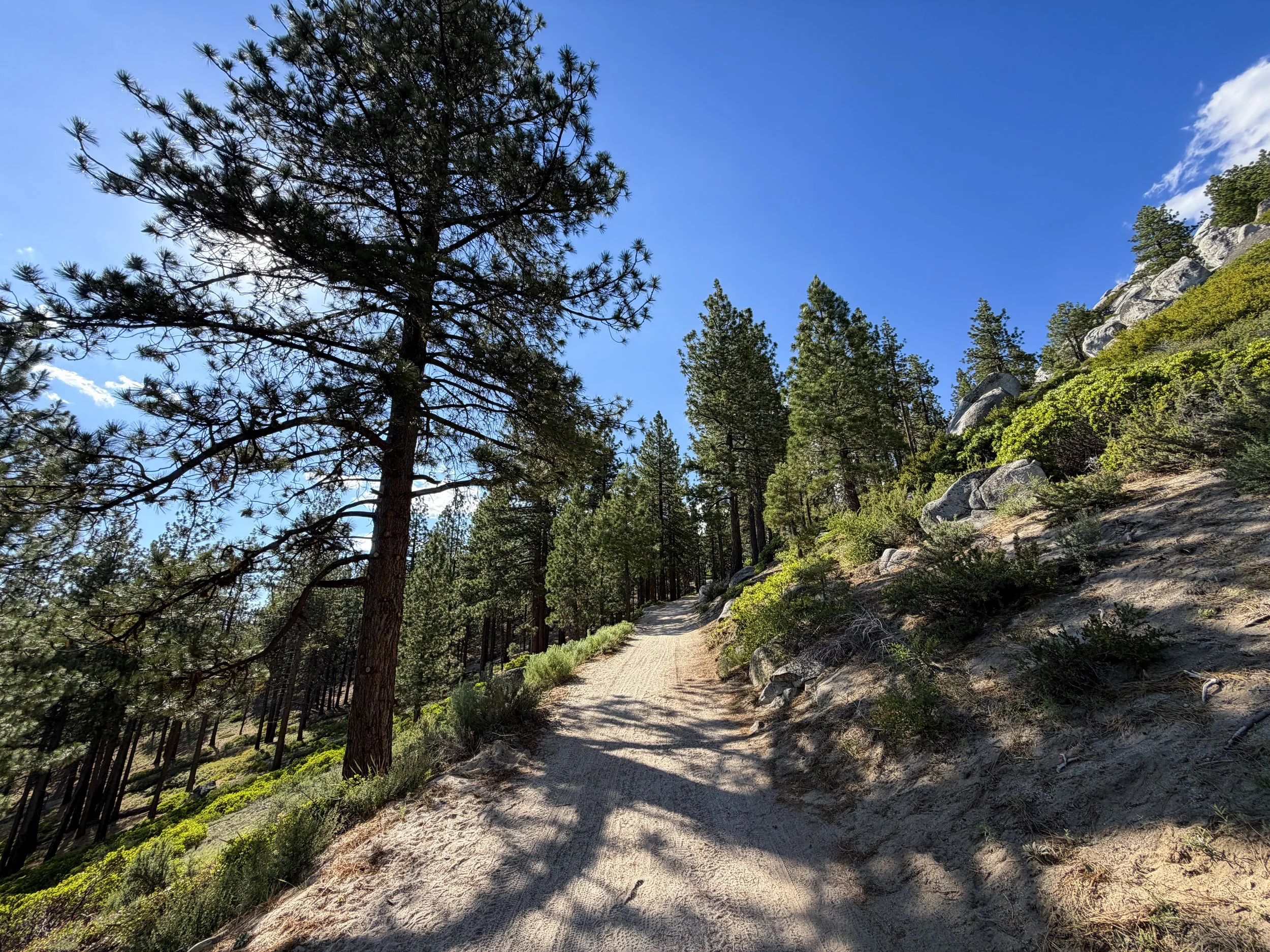 Monkey Rock Hike Lake Tahoe Nevada