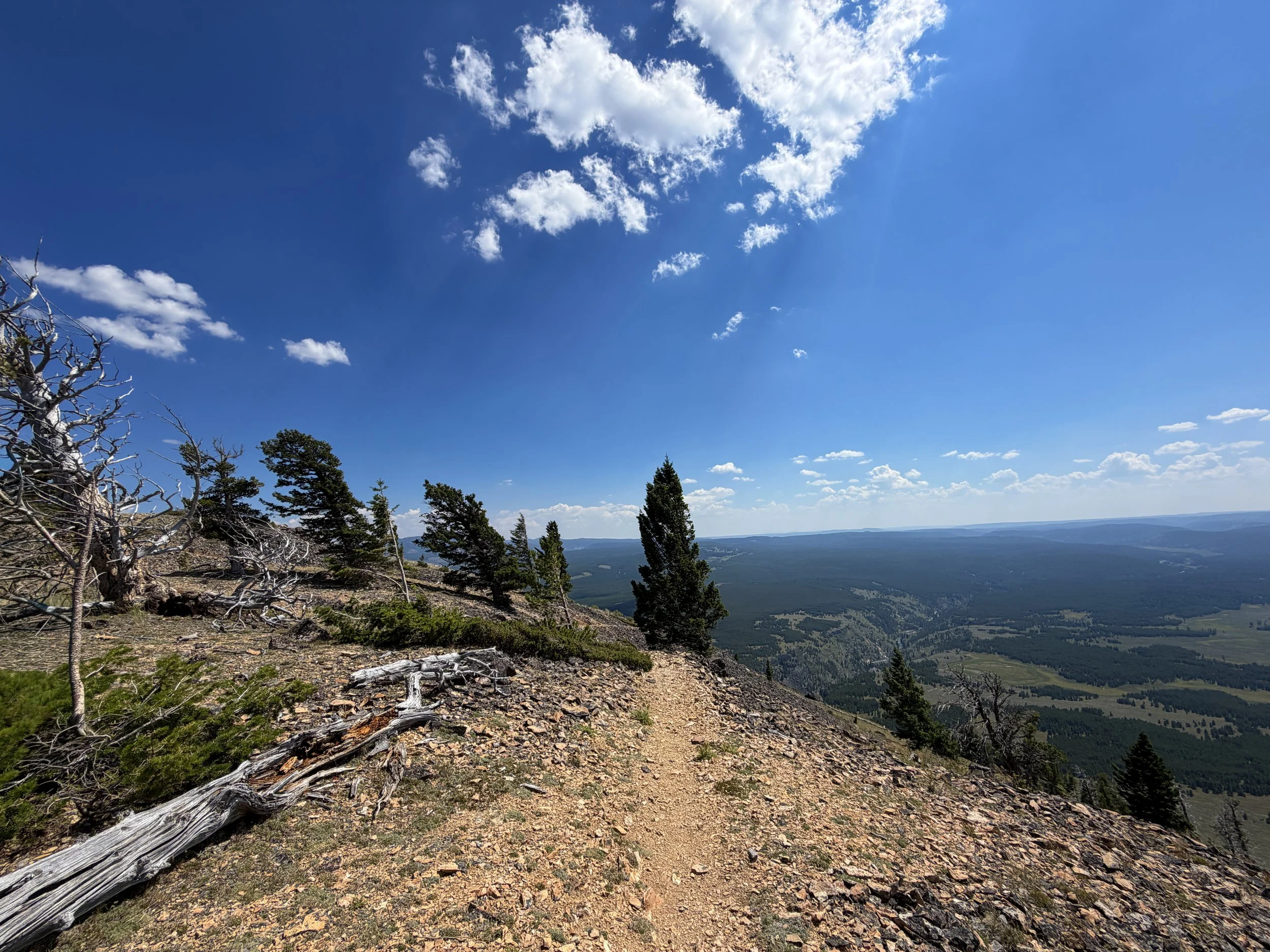 Bunsen Peak Loop Trail Yellowstone National Park Wyoming