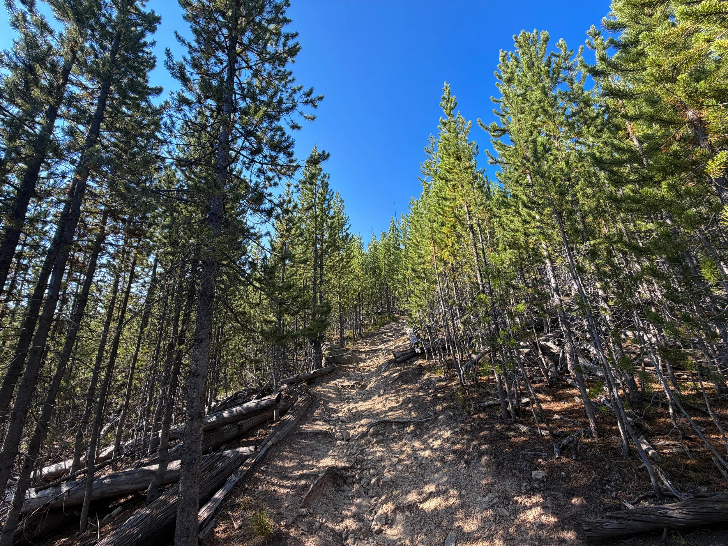 Monument Geyser Basin Trail Yellowstone National Park Wyoming