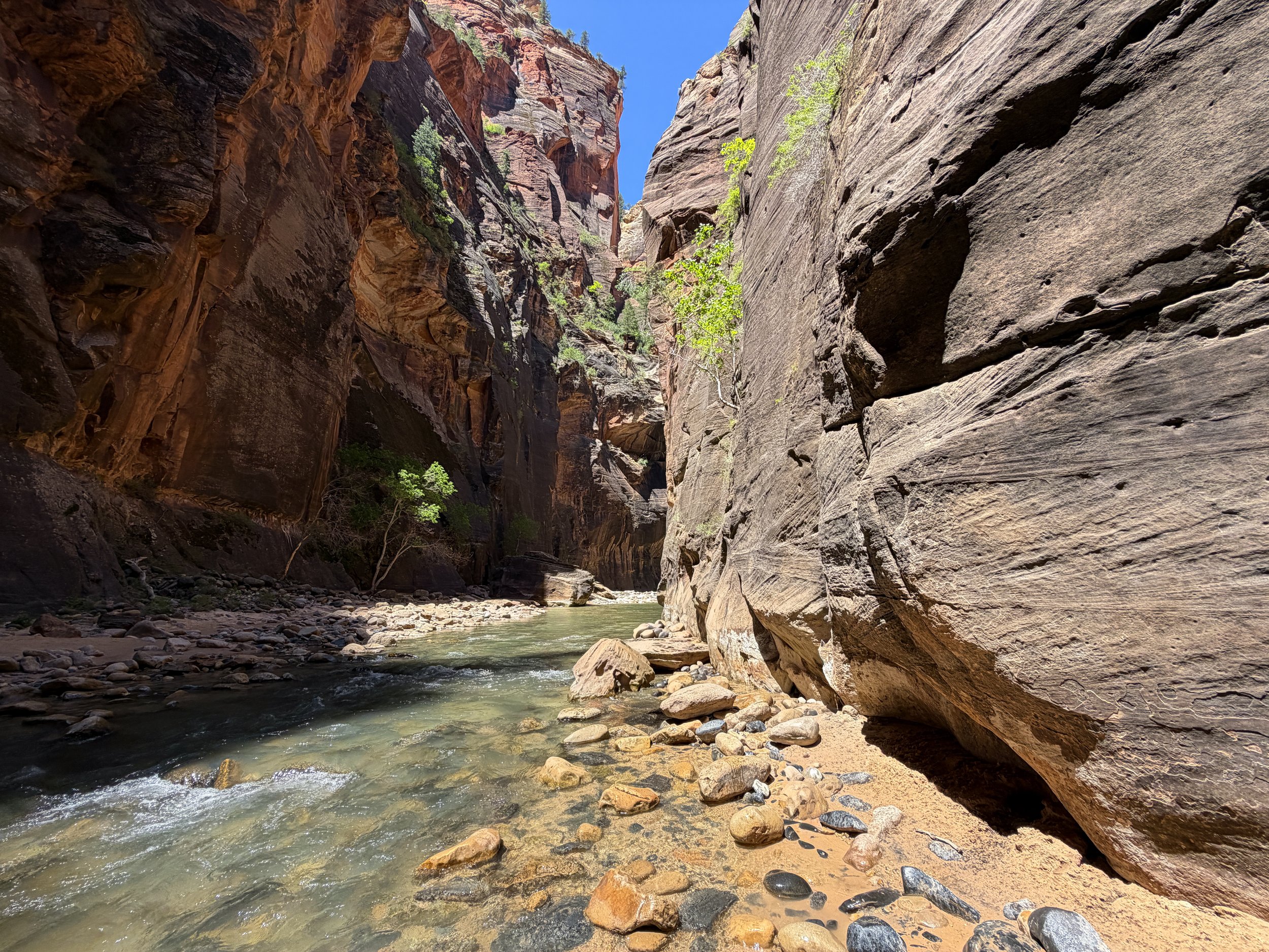 Narrows Trail Zion National Park Utah
