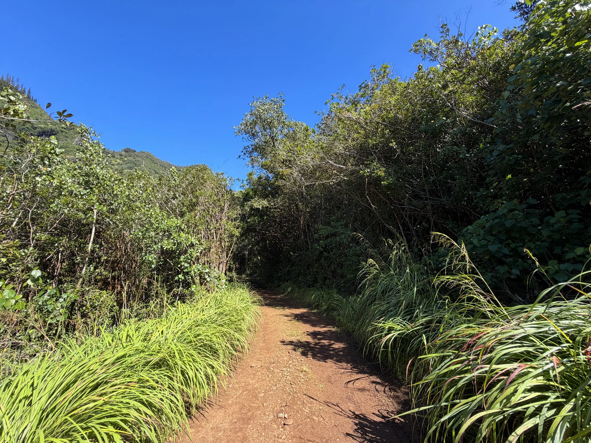 Kulanaahane Trail Oahu Hawaii