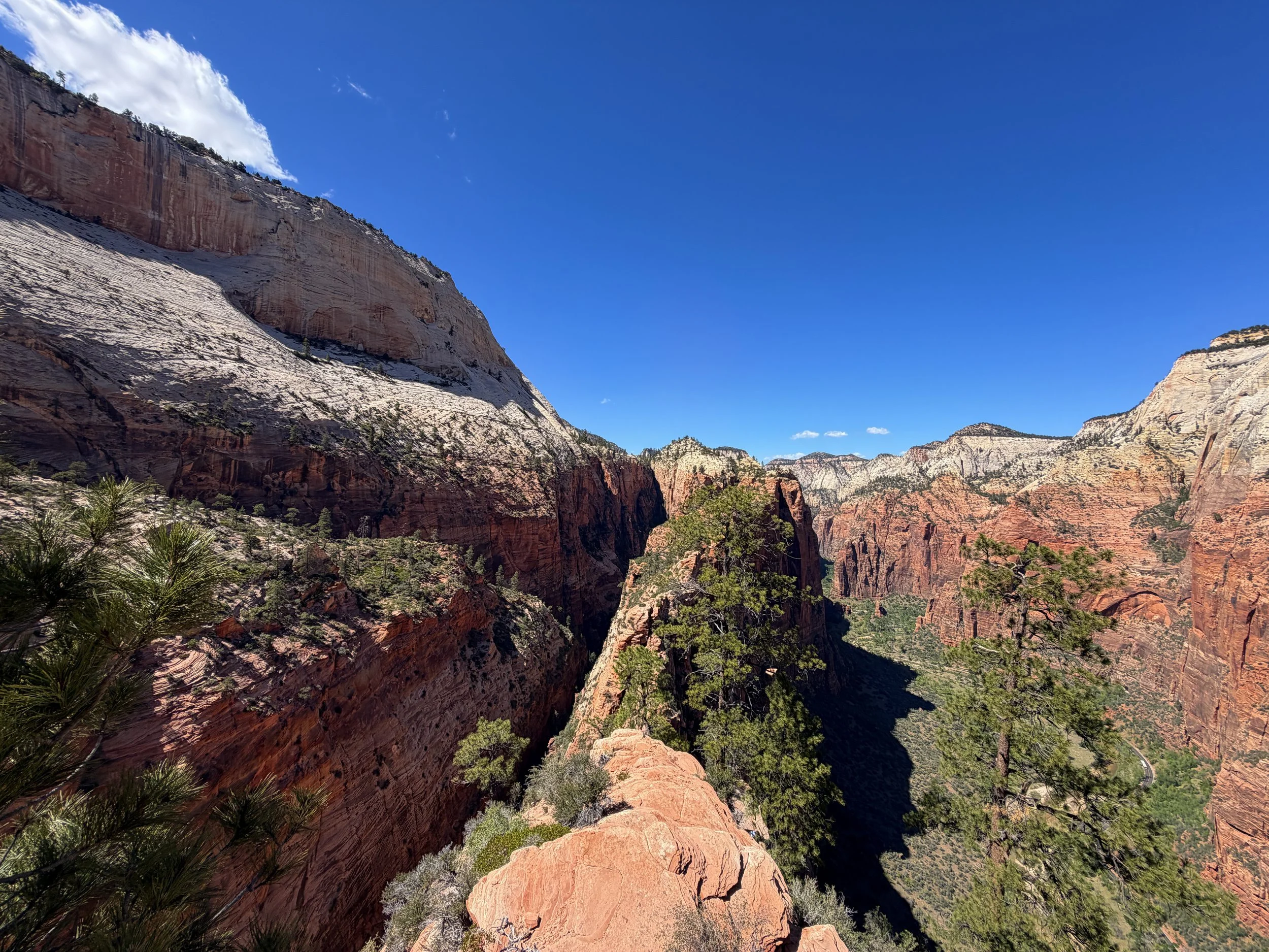 Angels Landing Trail Chains Zion National Park Utah
